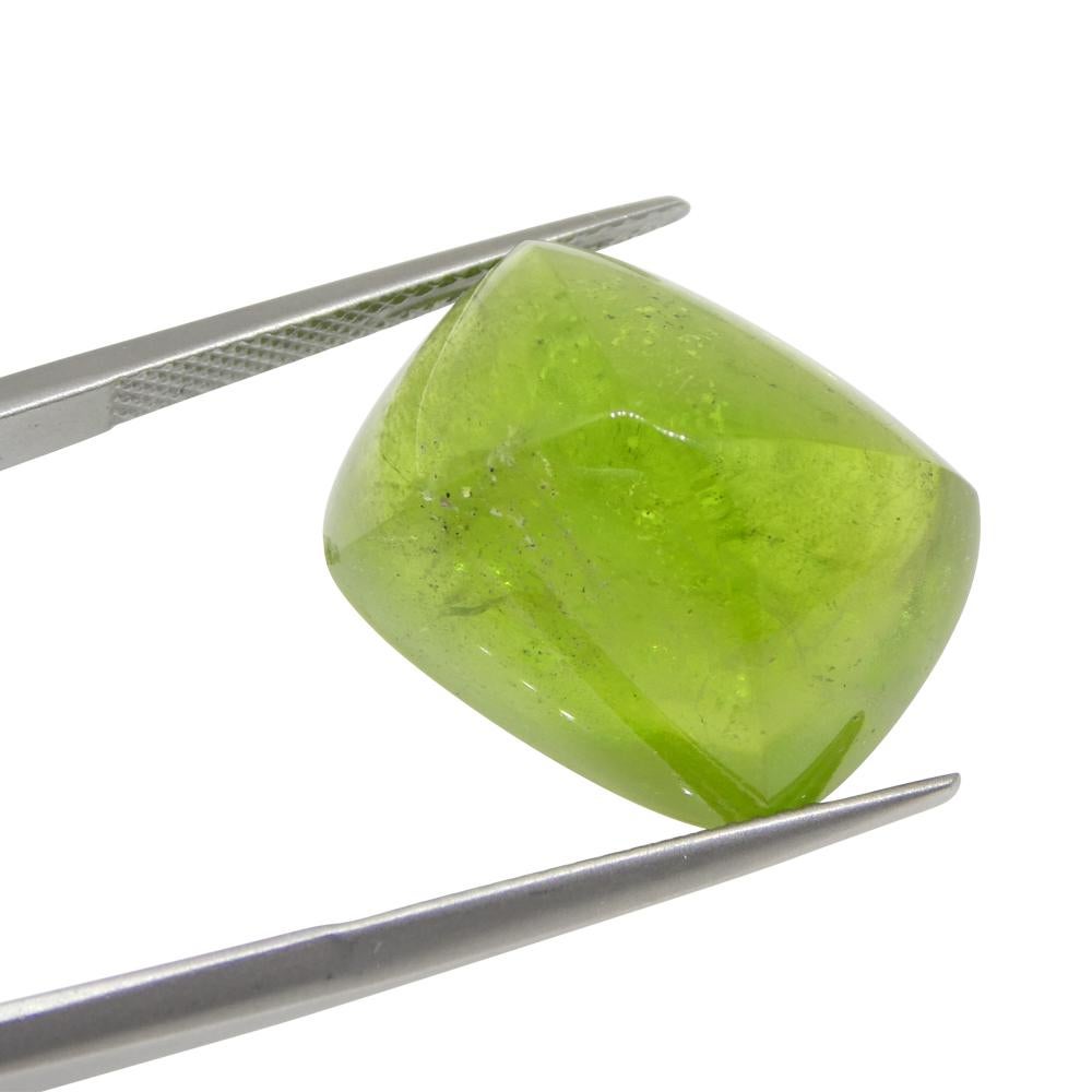 28.37ct Cushion Sugarloaf Cabochon Yellow-Green Peridot from Sapat Gali, Pakista In New Condition For Sale In Toronto, Ontario