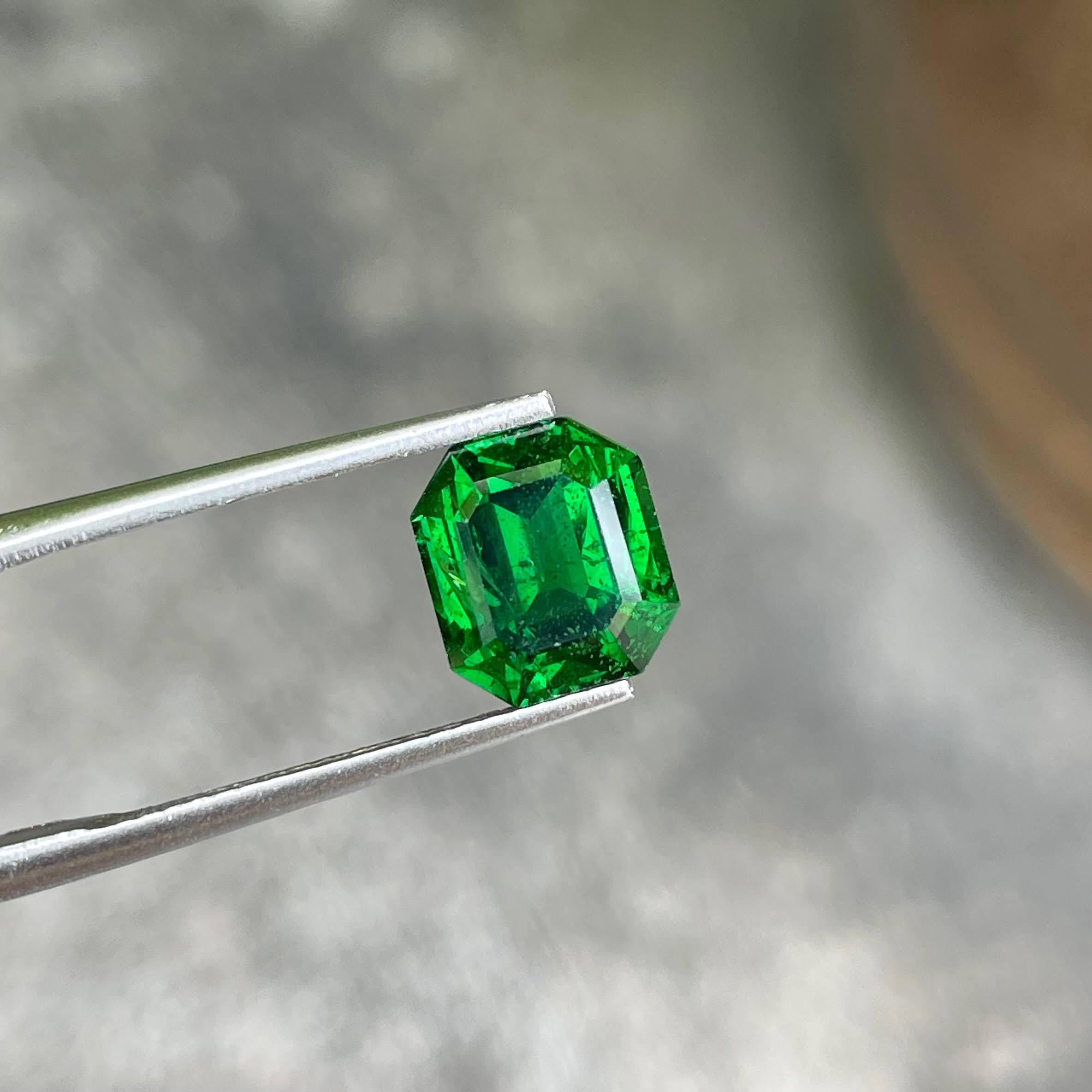 Poids 2,84 carats 
Dimensions 8,5x7,5x5,2 mm
Traitement aucun 
Origine Kenya 
Clarity SI
Forme octogonale 
Taille émeraude 



Cet exquis grenat vert tsavorite de 2,84 carats, taillé de manière experte dans une élégante forme d'émeraude, est un