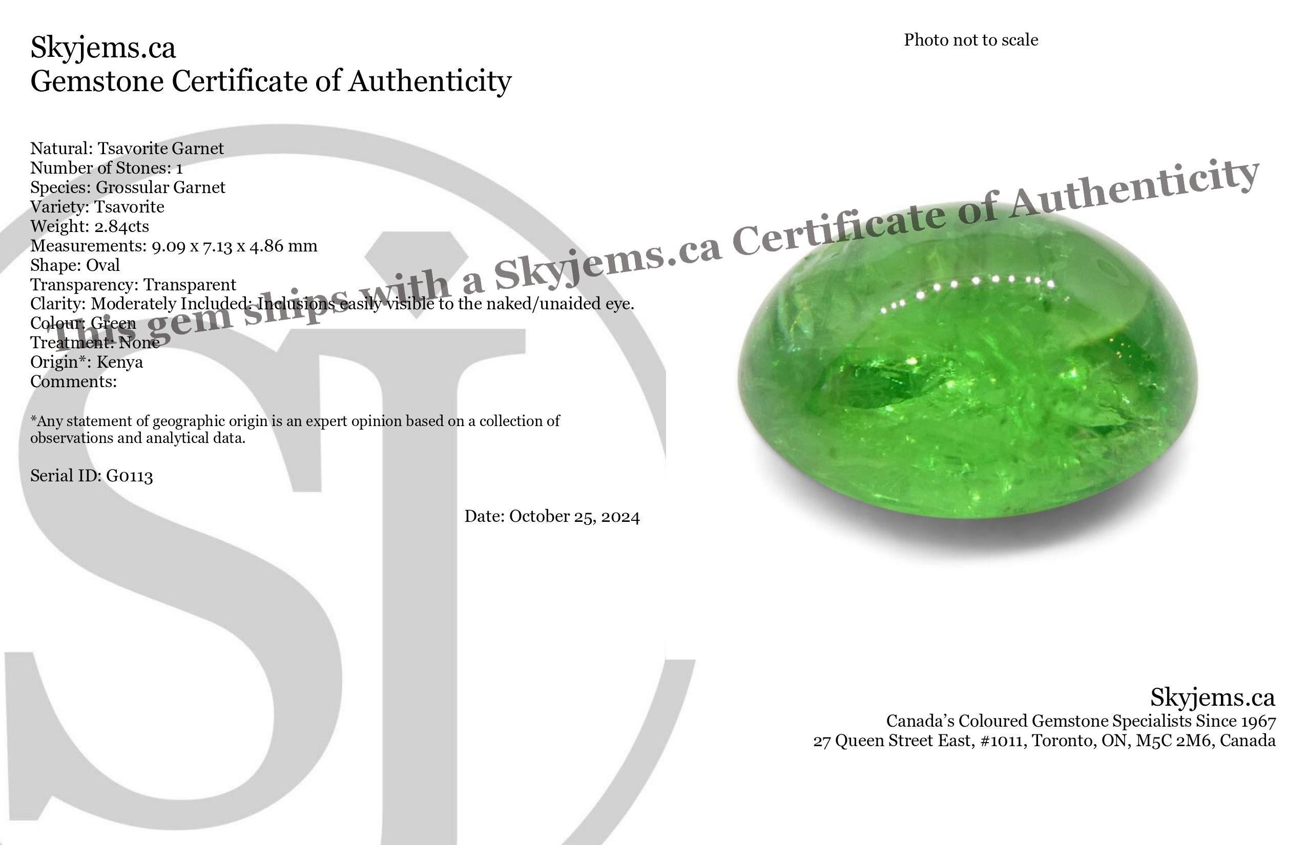 Descrizione:

Tipo di gemma: Granato di Tsavorite 
Numero di pietre: 1
Peso: 2,84 carati
Misure: 9.09 x 7.13 x 4.86 mm 
Forma: Ovale
Stile di taglio Corona: 
Stile di taglio del padiglione:  
Trasparenza: Trasparente
Chiarezza: Moderatamente