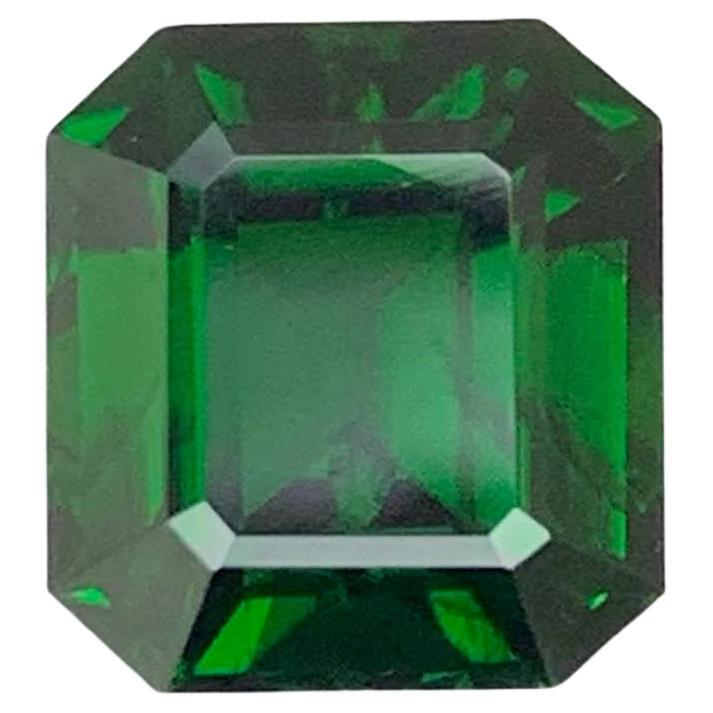 2,85 Karat Natürlicher loser Chrom Turmalin Stein Smaragd Schliff Afrikanischer Edelstein