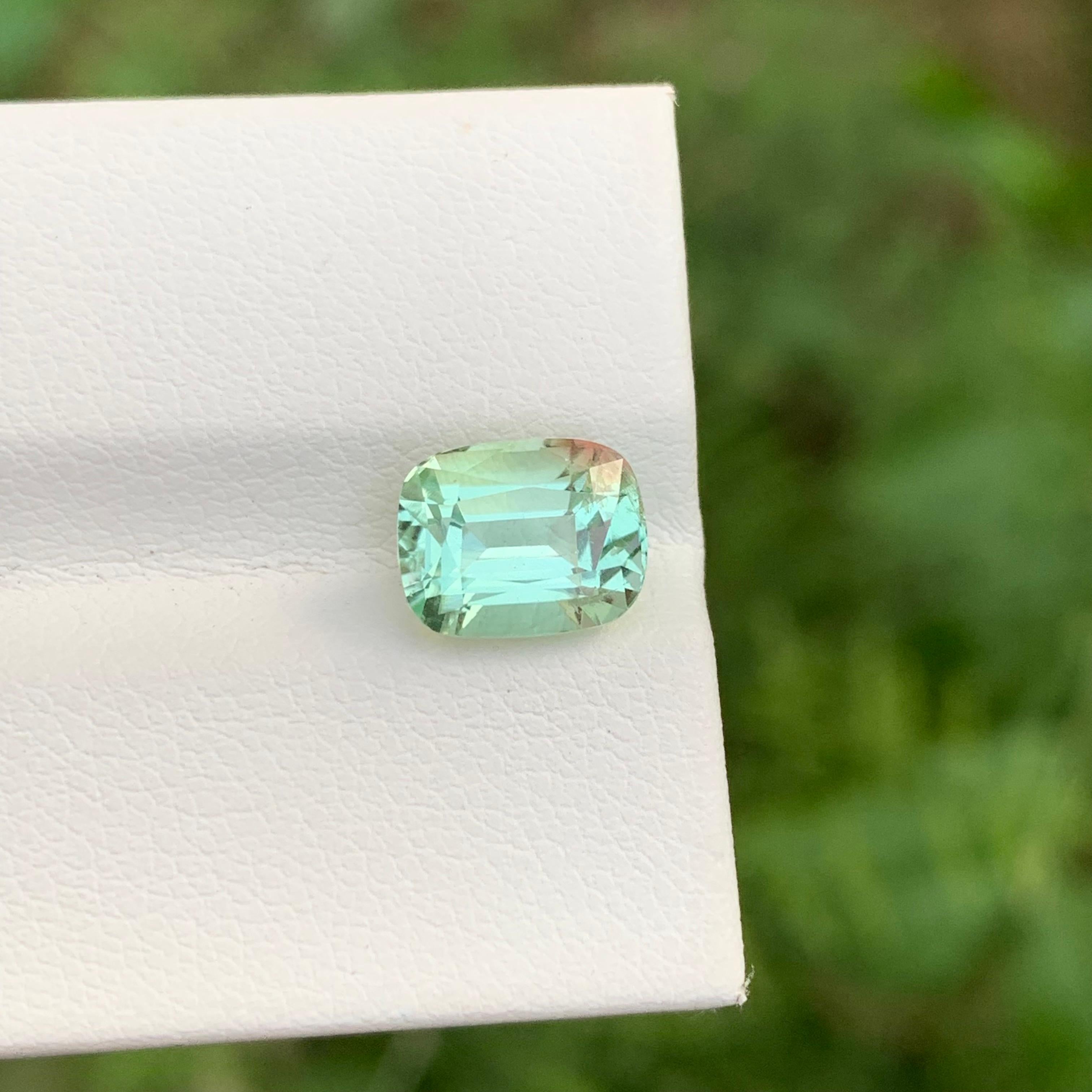 Loose Mint Green Tourmaline With Pink Dot

Weight: 2.85 Carats
Dimension: 8.9 x 7 x 5.9 Mm
Colour: Mint Green
Origin: Afghanistan
Certificate: On Demand
Treatment: Non
Shape: Cushion


Tourmaline is a captivating gemstone known for its remarkable