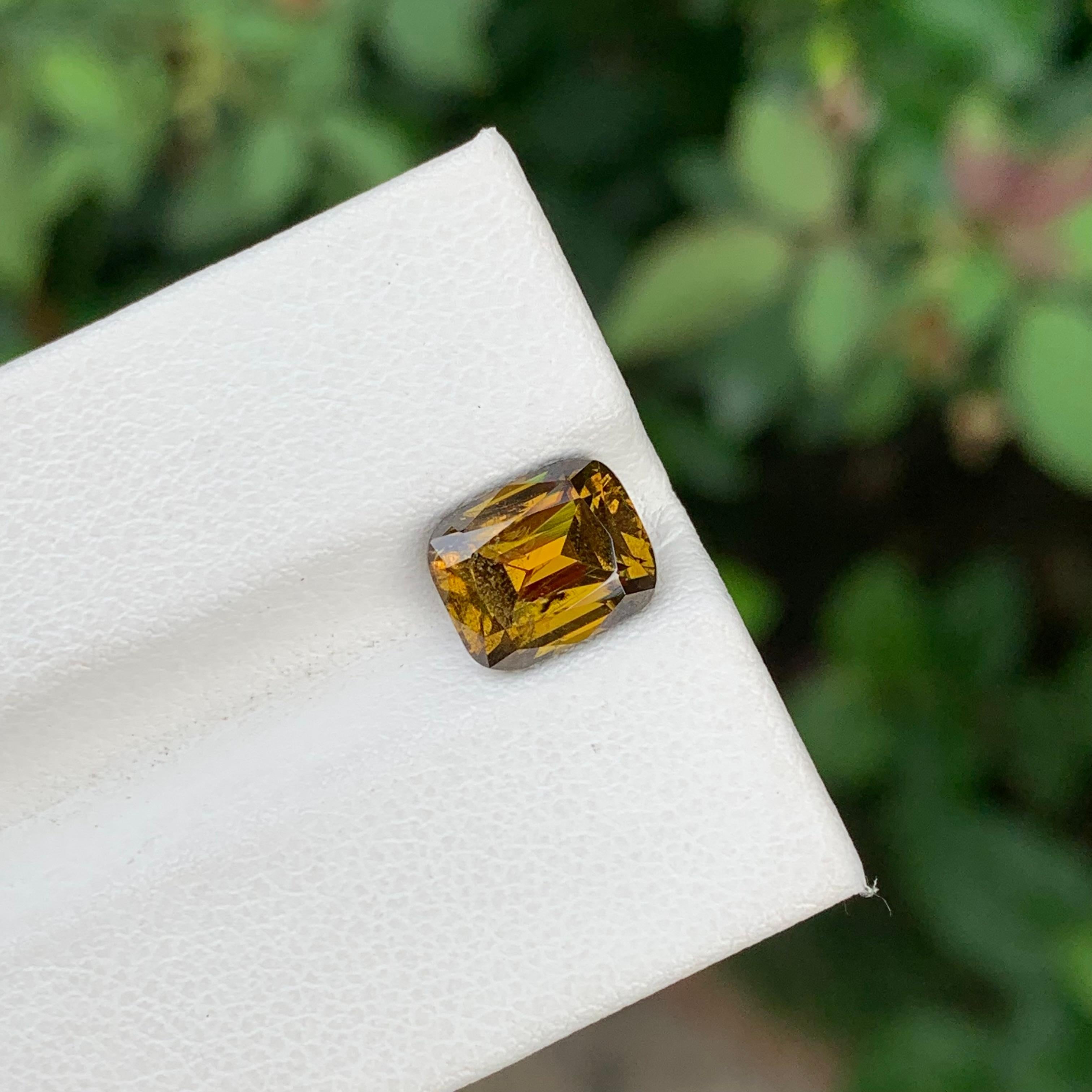 Titanite en vrac 
Poids : 2.85 Carats
Dimension : 8,6 x 7 x 5,1 mm
Origine : Warsak Pakistan
Forme : Coussin
Traitement : Non
Certificat : Sur demande

Le sphène, également connu sous le nom de titanite, est une pierre précieuse remarquable et peu