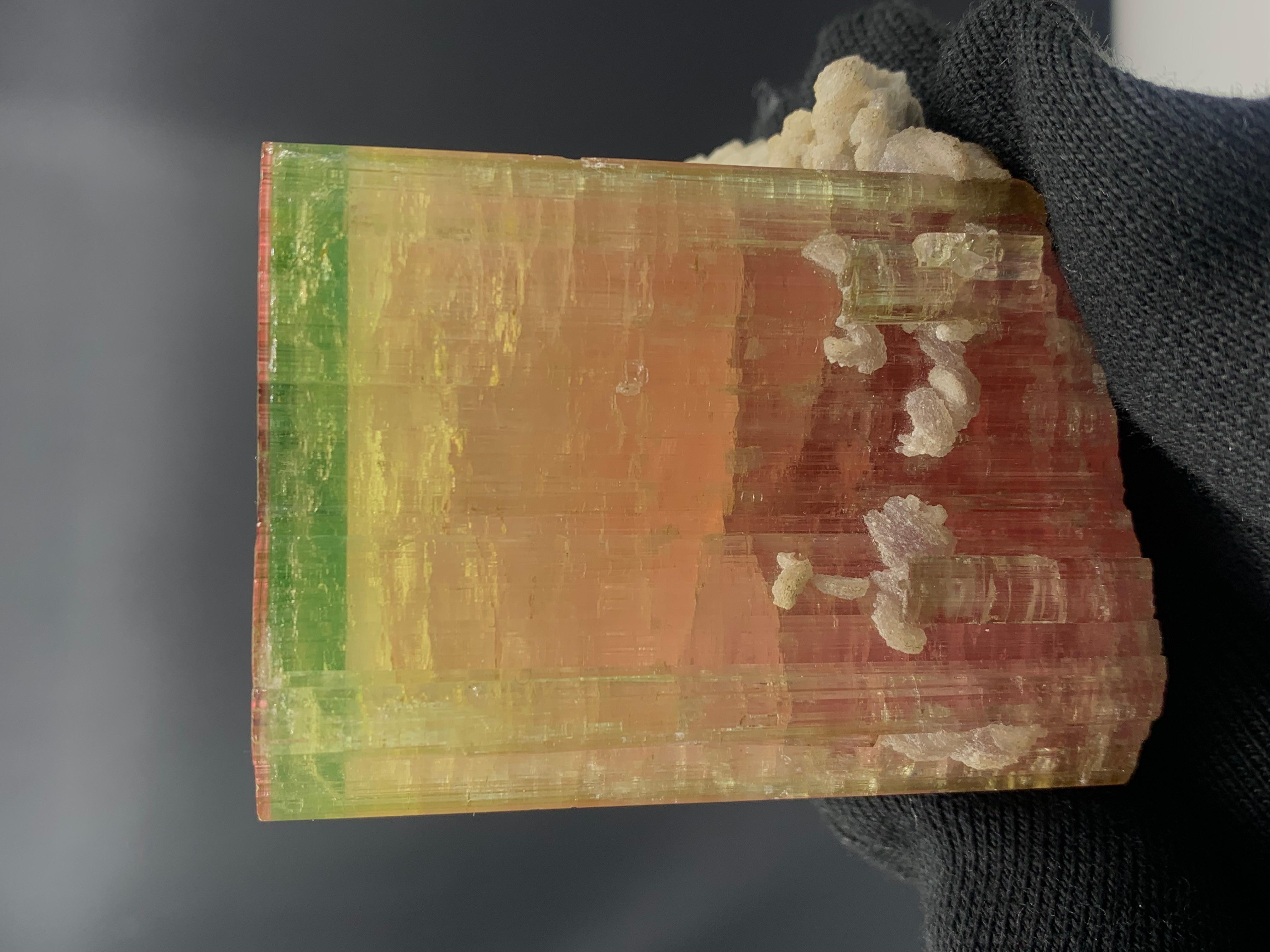 285.61 Gram Wunderschönes dreifarbiges Turmalin-Exemplar aus Nooristan, Afghanistan im Angebot 3