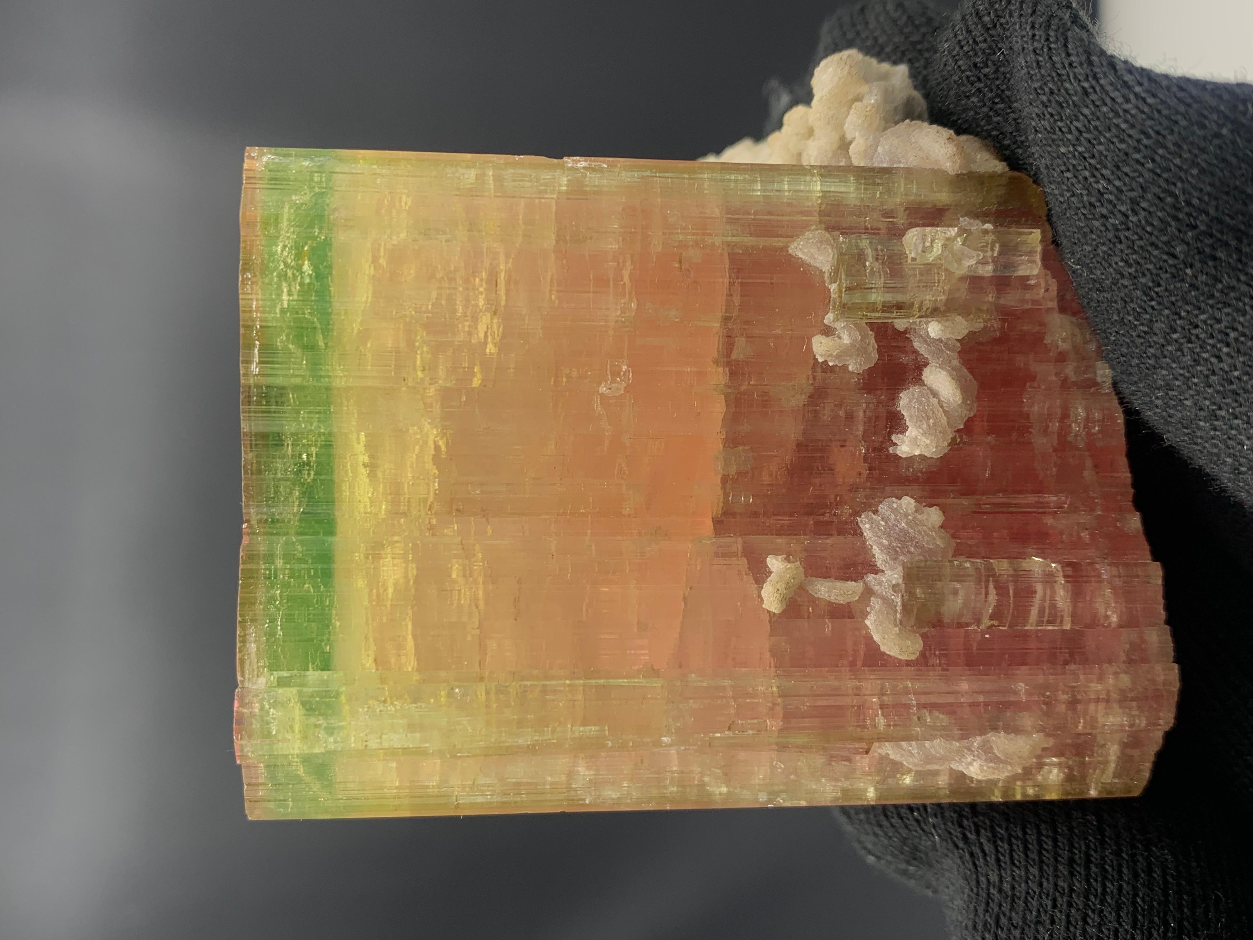 Wunderschöne dreifarbige Turmalin-Probe aus Nooristan, Afghanistan
GEWICHT: 285,61 Gramm
ABMESSUNGEN: 6,7 x 5,2 x 5 cm
URSPRUNG: Afghanistan
BEHANDLUNG: Keine
Der Turmalin ist ein äußerst beliebter Edelstein; der Name Turmalin leitet sich von