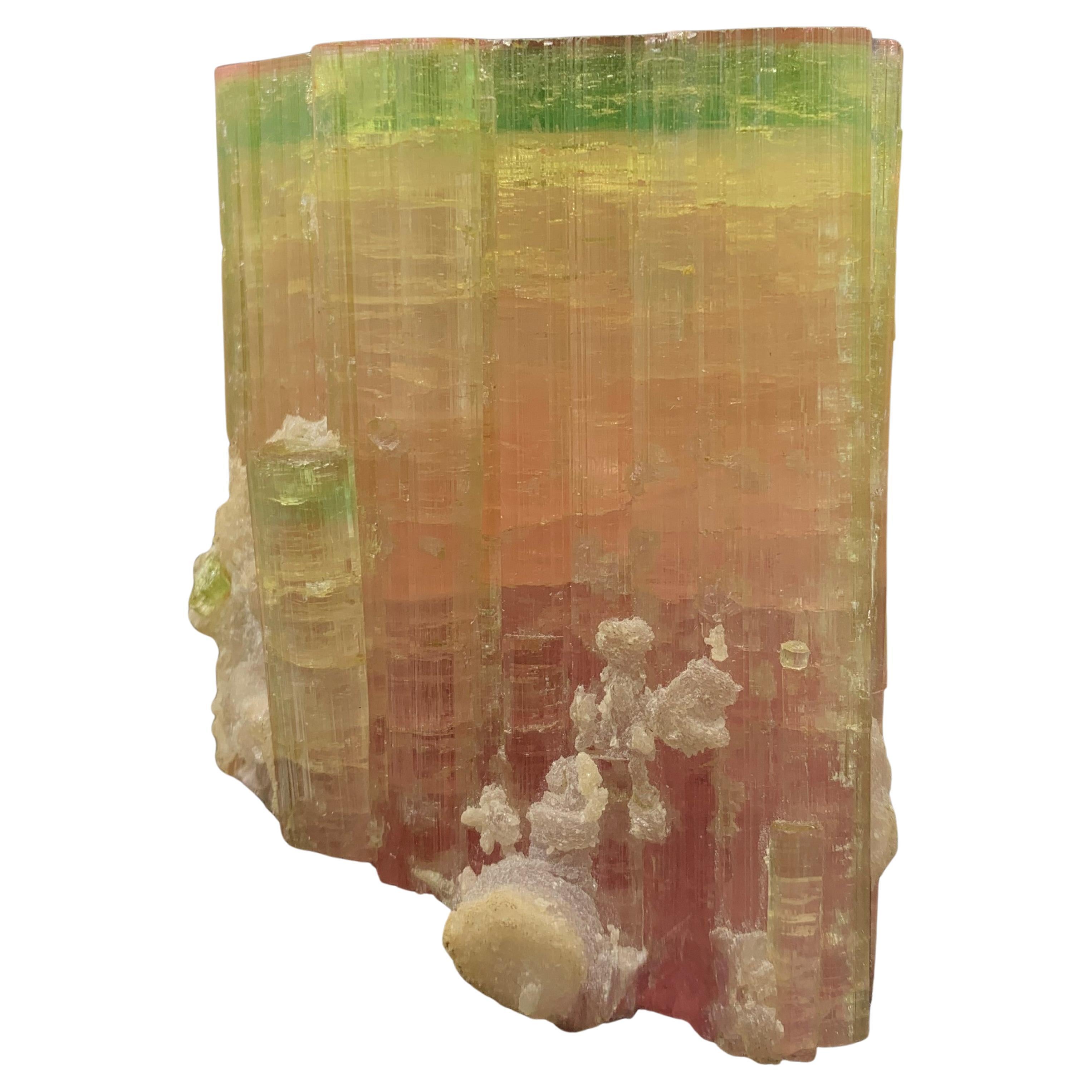 285,61 grammes de tourmaline tricolore fantastique provenant du Nooristan, Afghanistan