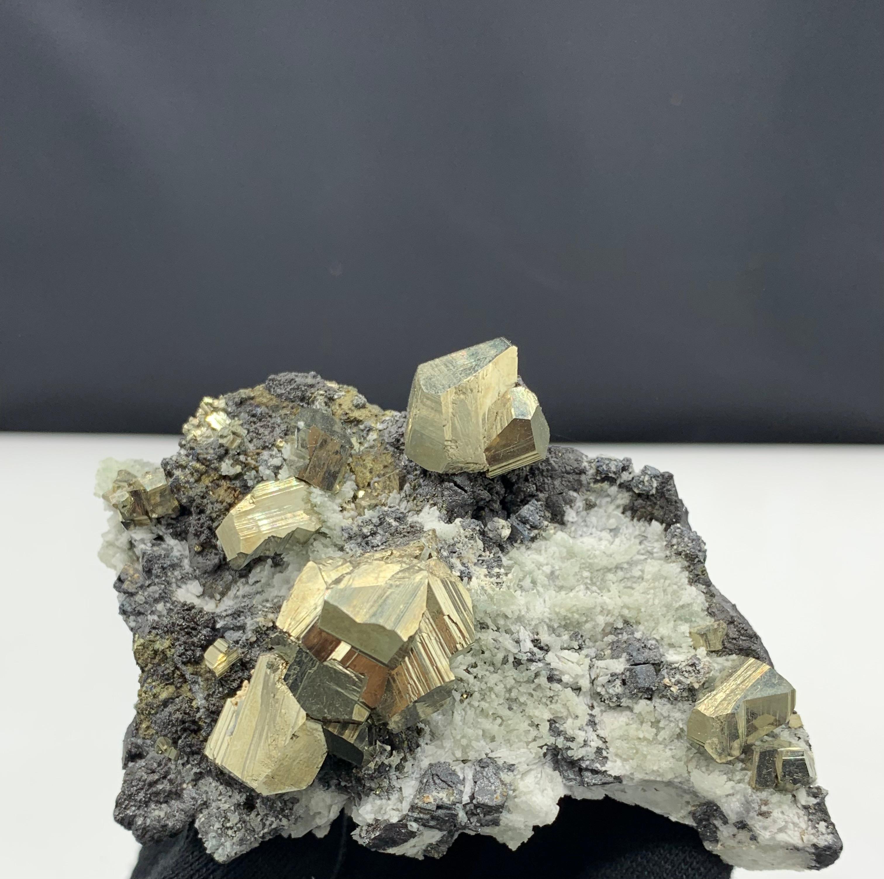 Spécimen pyrite glamour du Pakistan, 286.37 grammes 

Poids : 286,37 grammes
Dimension : 6,5 x 11 x 6,8 cm
Origine : Pakistan 

La pyrite se trouve dans une grande variété de contextes géologiques, des roches ignées, sédimentaires et métamorphiques
