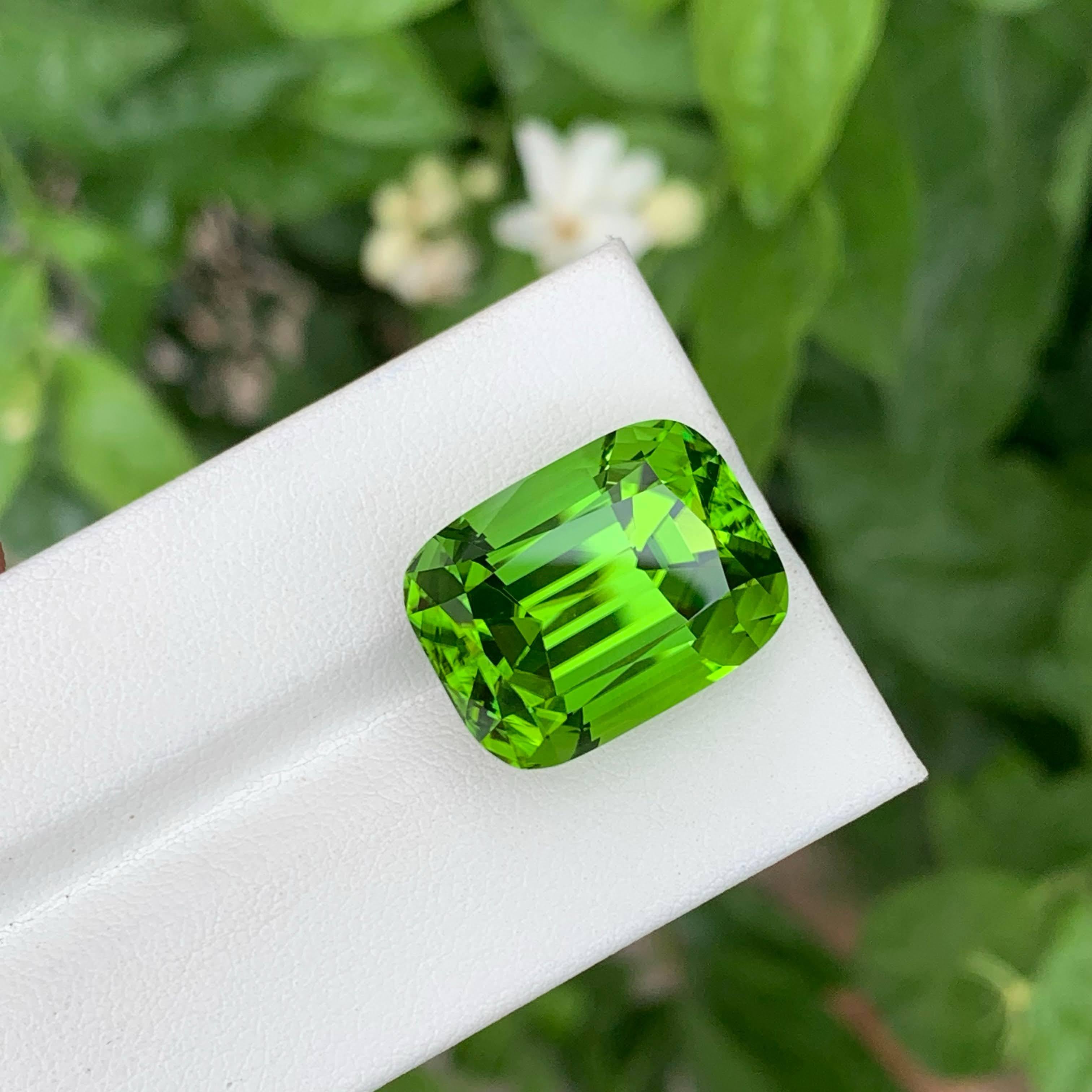 28.65 Carat Natural Loose Apple Green Peridot Cushion Cut Pakistani Gemstone (pierre précieuse pakistanaise de taille coussin) en vente 4
