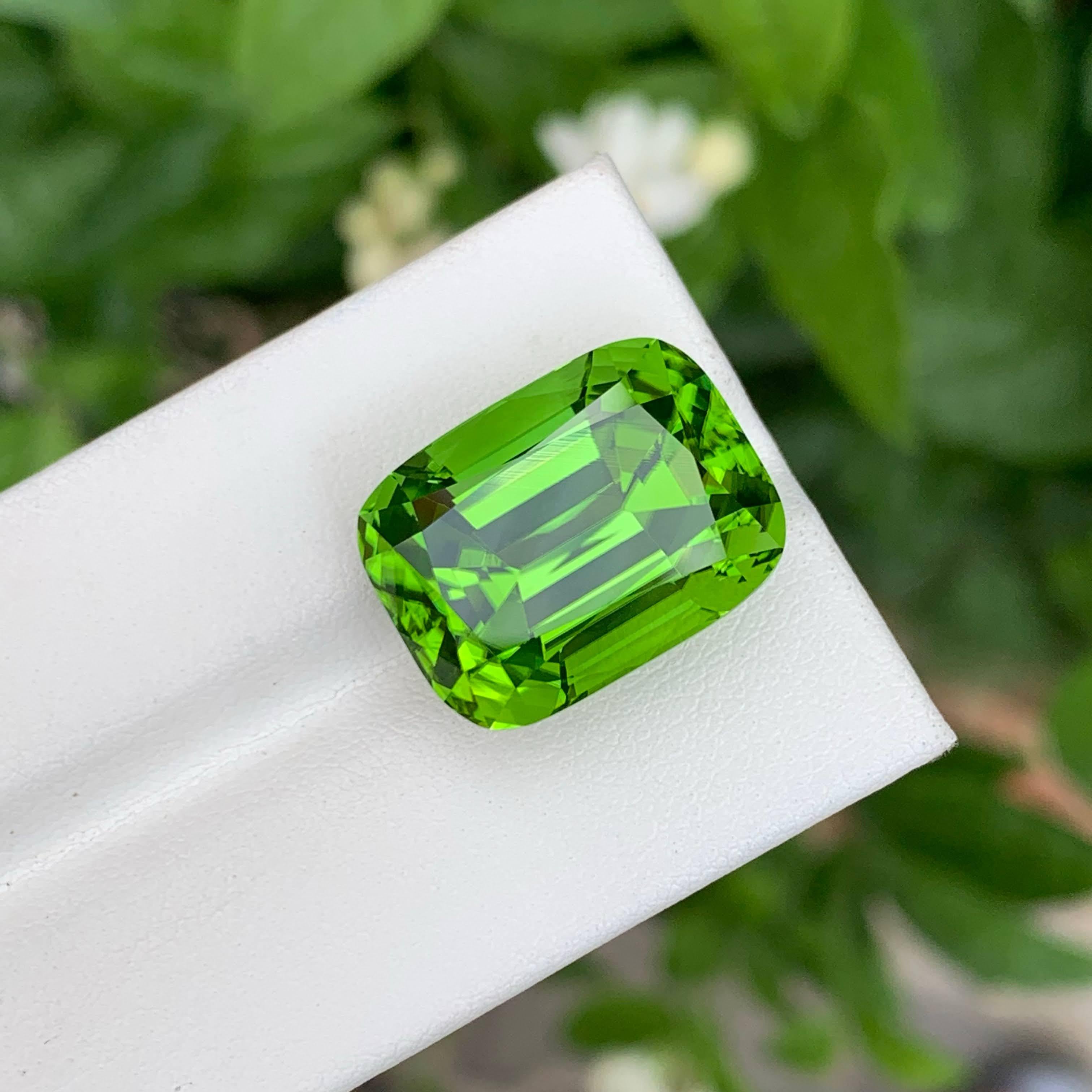 28.65 Carat Natural Loose Apple Green Peridot Cushion Cut Pakistani Gemstone (pierre précieuse pakistanaise de taille coussin) en vente 5