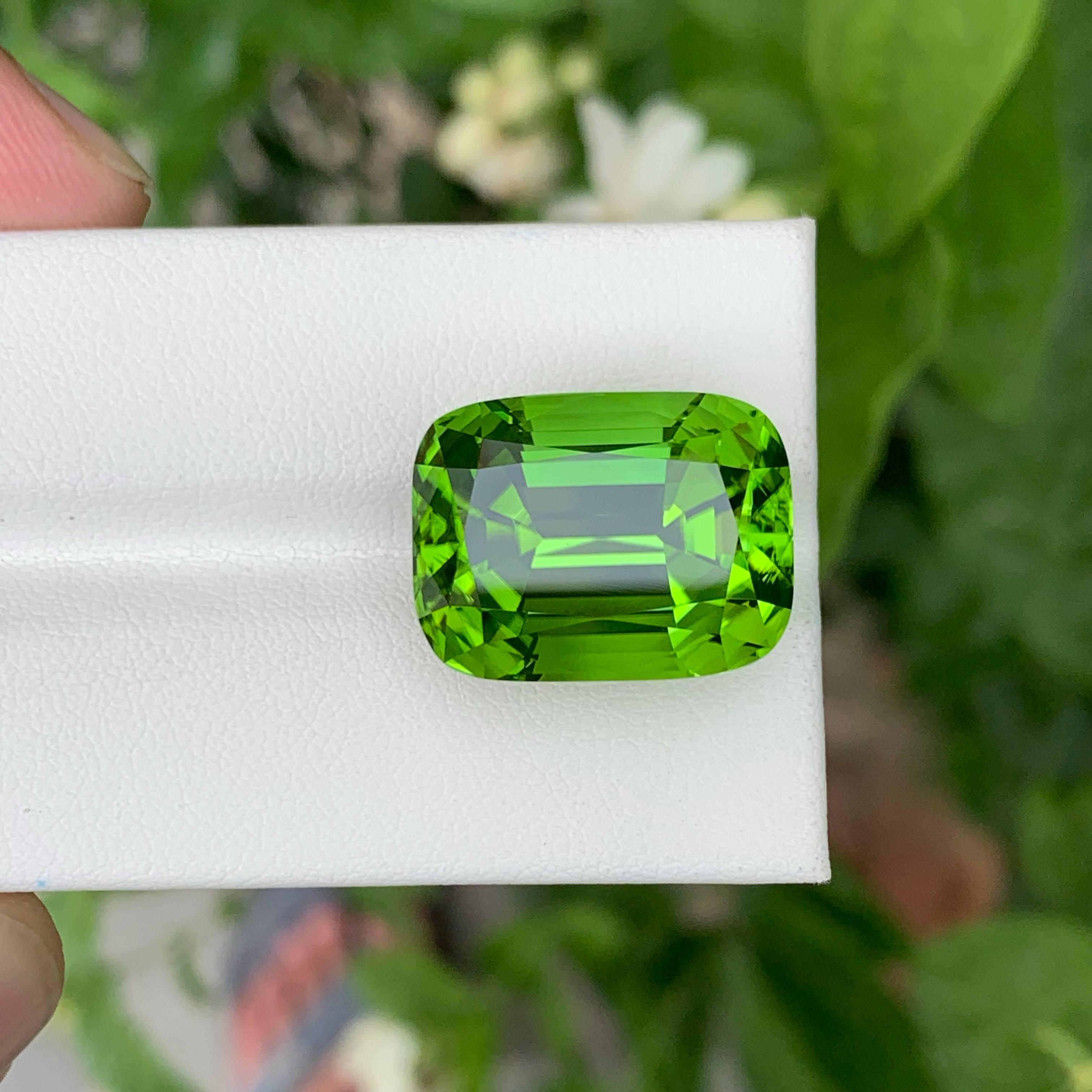 28.65 Carat Natural Loose Apple Green Peridot Cushion Cut Pakistani Gemstone (pierre précieuse pakistanaise de taille coussin) en vente 1