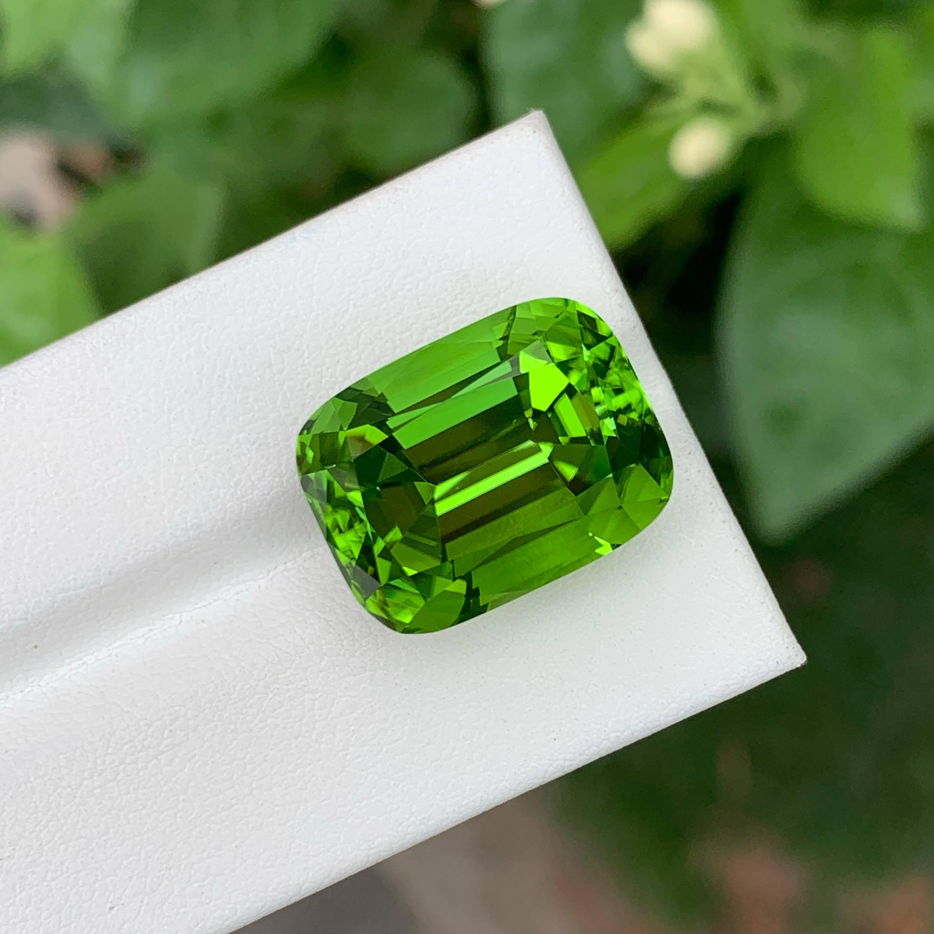 28.65 Carat Natural Loose Apple Green Peridot Cushion Cut Pakistani Gemstone (pierre précieuse pakistanaise de taille coussin) en vente 2
