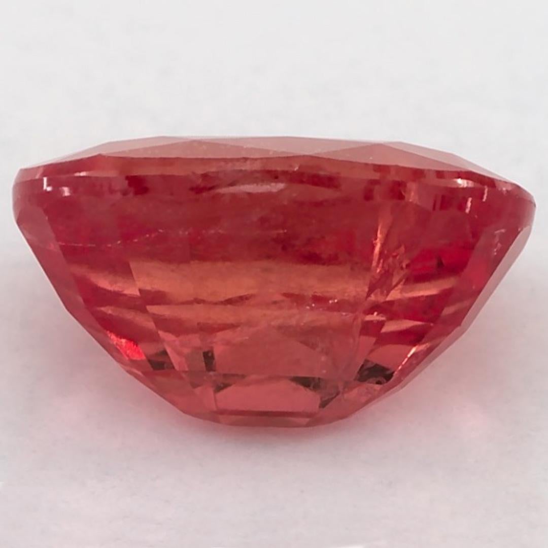 2.87 Ct Ruby Oval Loose Gemstone (pierre précieuse en vrac) Neuf - En vente à Fort Lee, NJ