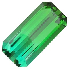 Tourmaline bleue verte naturelle non sertie 28,75 carats pour collier joaillerie 