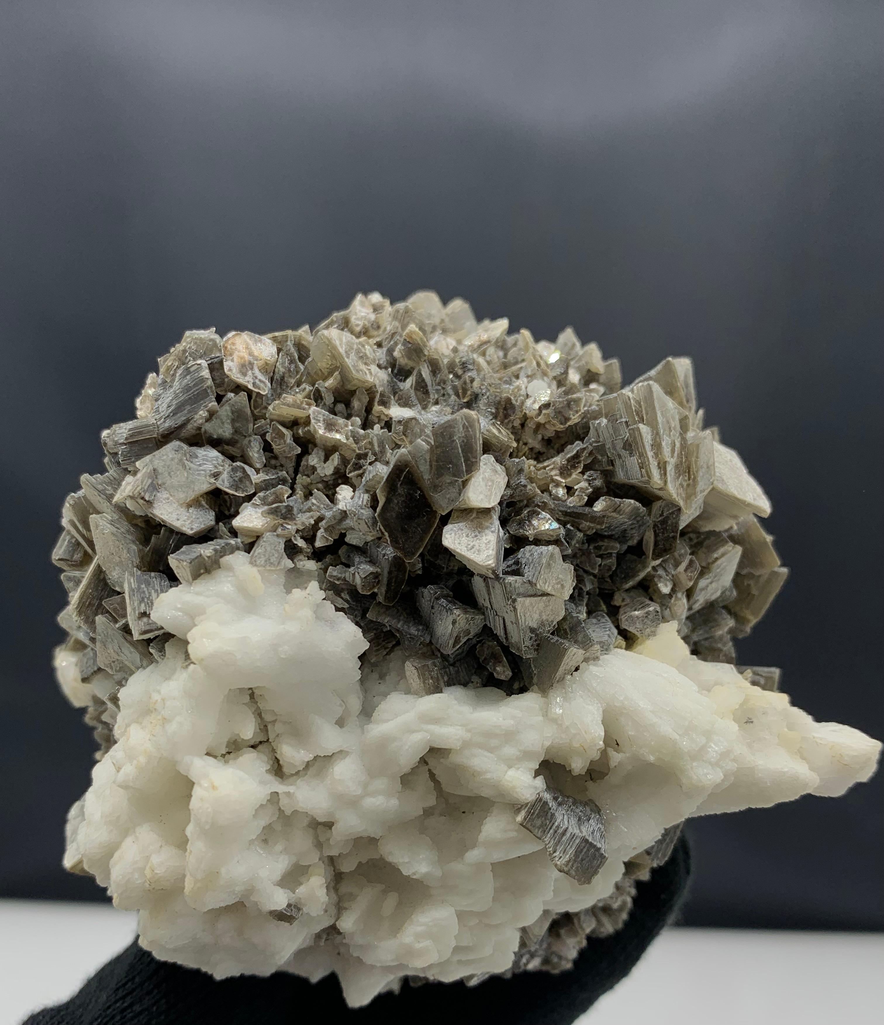 289.99 Gram Albite With Feldspar Specimen From Skardu, Pakistan 

Weight: 289.99 Gram
Dimension: 7.8 x 8.8 x 5.8 Cm
Origin: Skardu, Pakistan 

Feldspar is the name given to a group of minerals distinguished by the presence of alumina and silica