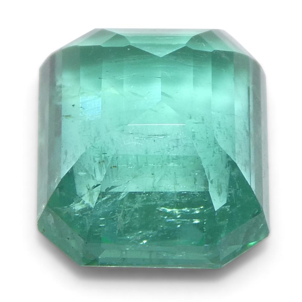 2.89ct Octagonal/Emerald Cut Green Emerald from Zambia (Émeraude verte de Zambie) en vente 5