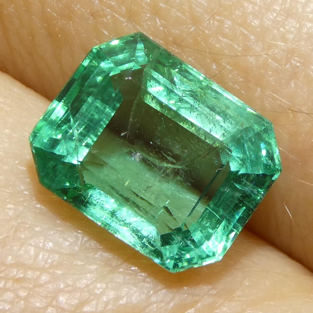 2.89ct Octagonal/Emerald Cut Green Emerald from Zambia (Émeraude verte de Zambie) en vente 7