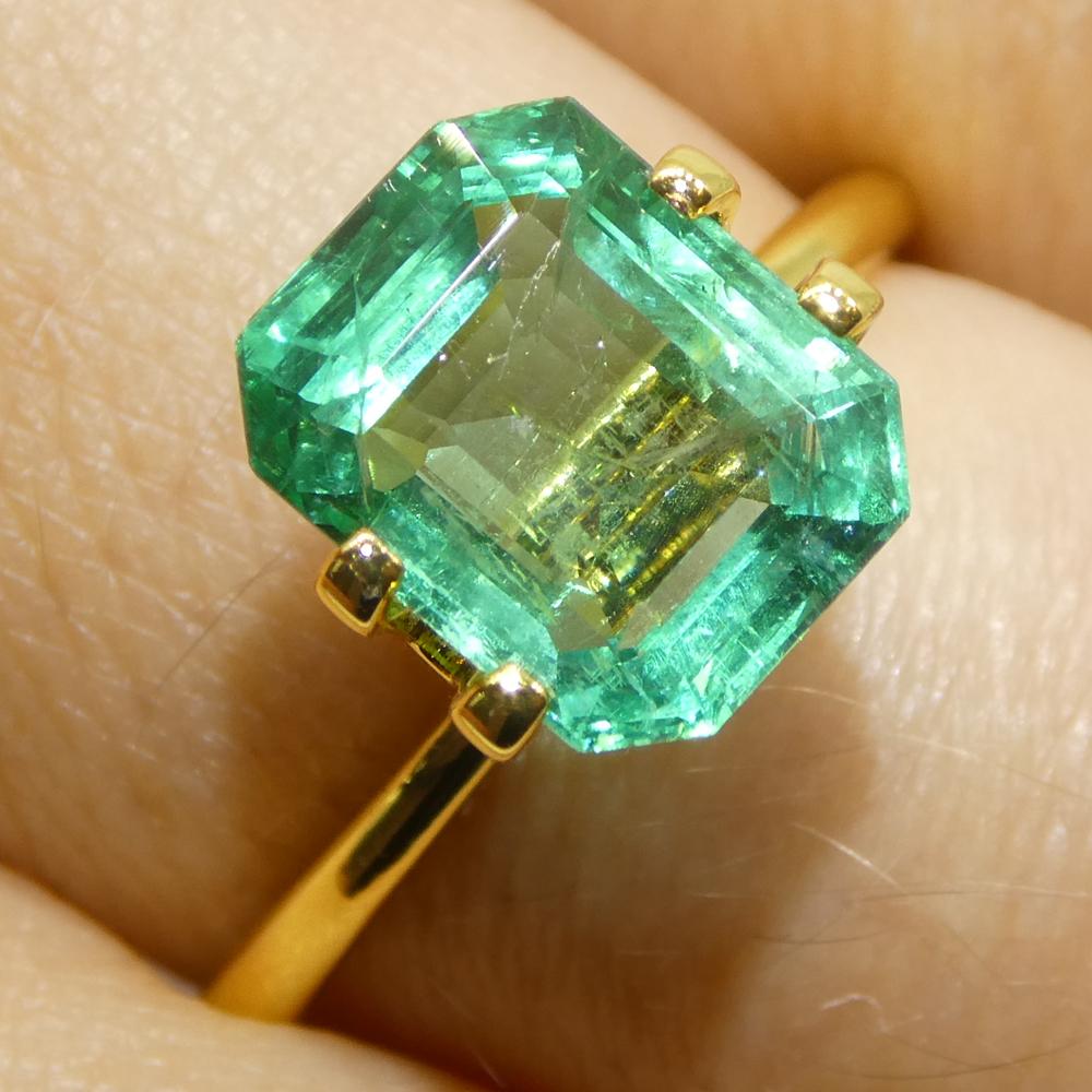 2.89ct Octagonal/Emerald Cut Green Emerald from Zambia (Émeraude verte de Zambie) en vente 8