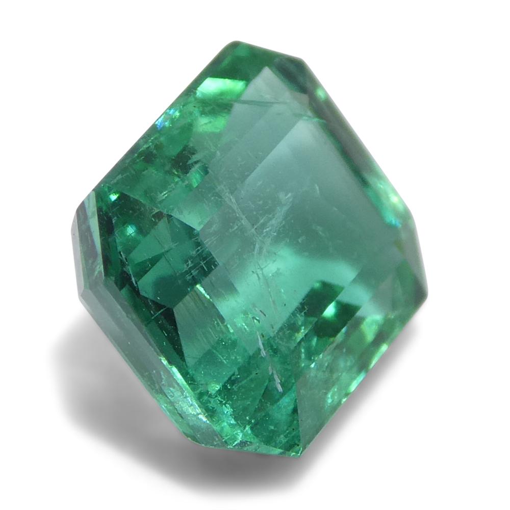 2.89ct Octagonal/Emerald Cut Green Emerald from Zambia (Émeraude verte de Zambie) en vente 2