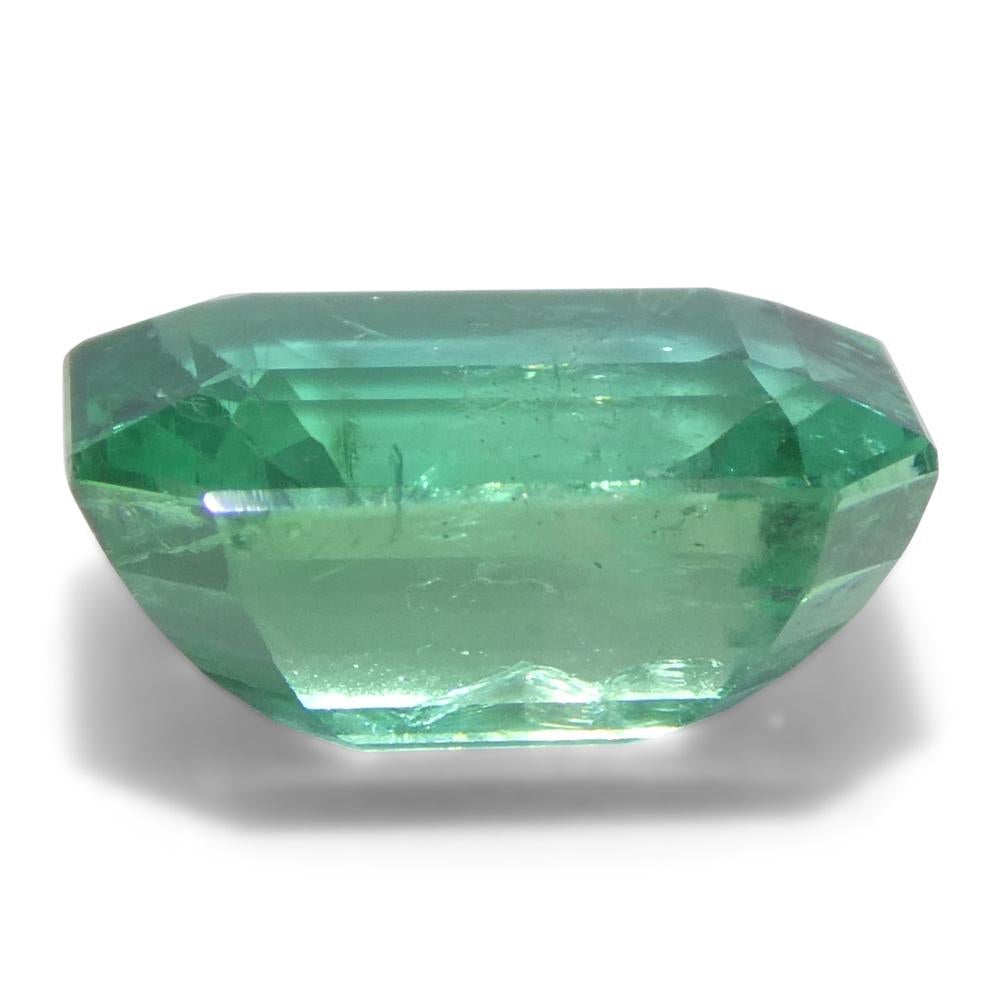 2.89ct Octagonal/Emerald Cut Green Emerald from Zambia (Émeraude verte de Zambie) en vente 3