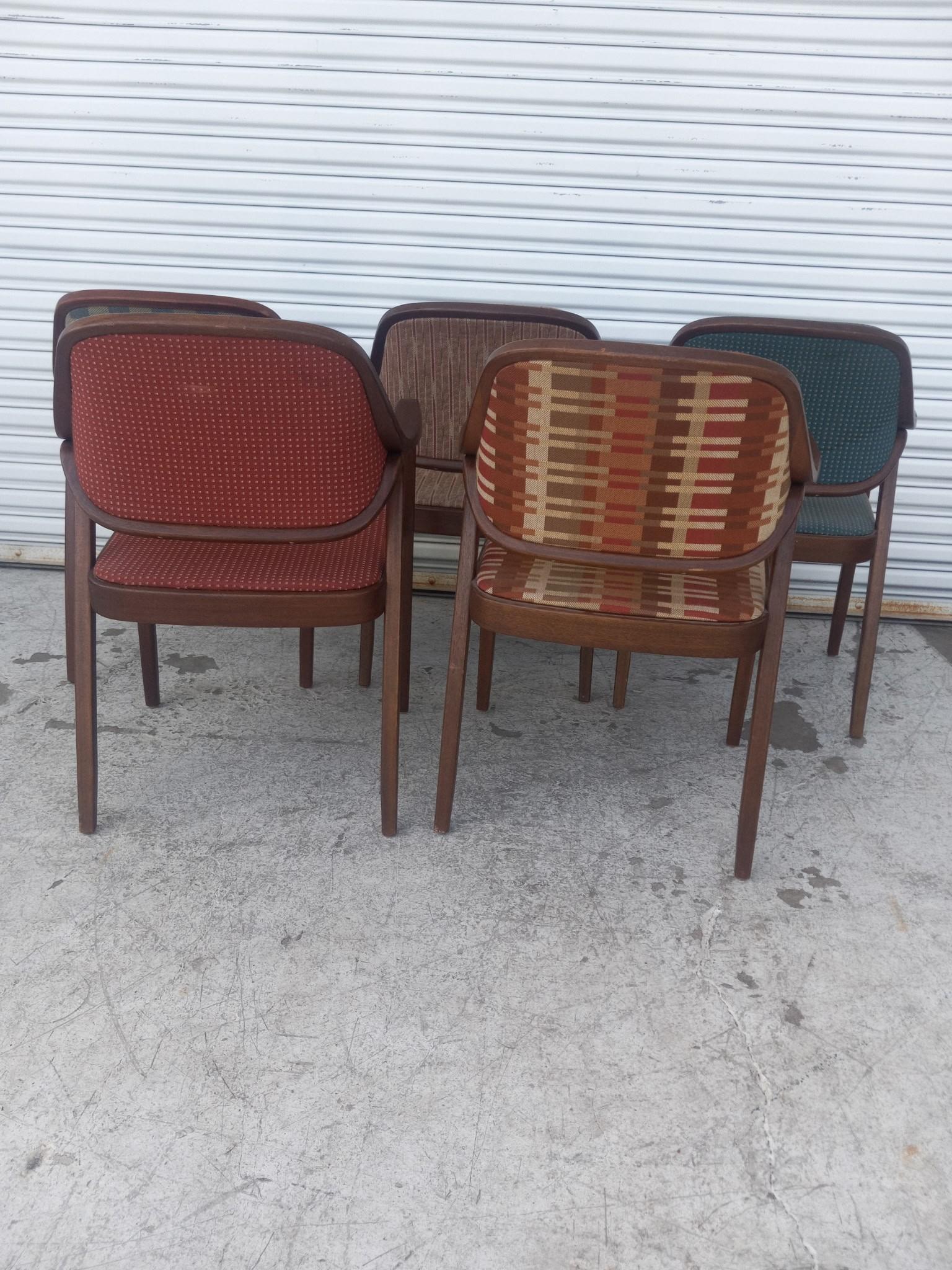 29 Sillones de madera curvada Don Pettit para Knoll International Estadounidense en venta