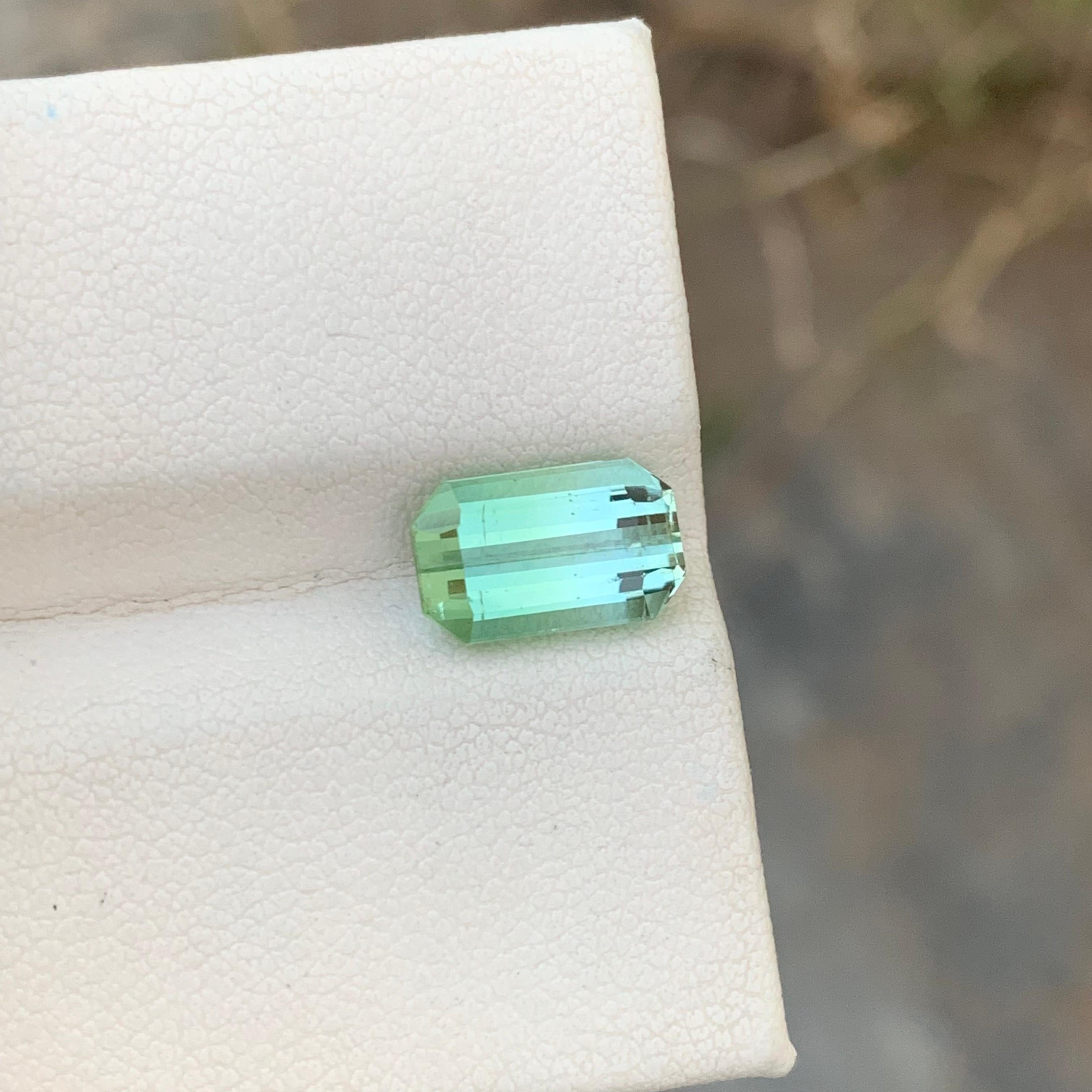 Loose Bi Colour Tourmaline
Weight: 2.90 Carats
Dimension: 10.4 x 6.4 x 5 Mm
Colour: Mint And Aqua Blue 
Origin: Afghanistan
Certificate: On Demand
Treatment: Non

Tourmaline is a captivating gemstone known for its remarkable variety of colors,