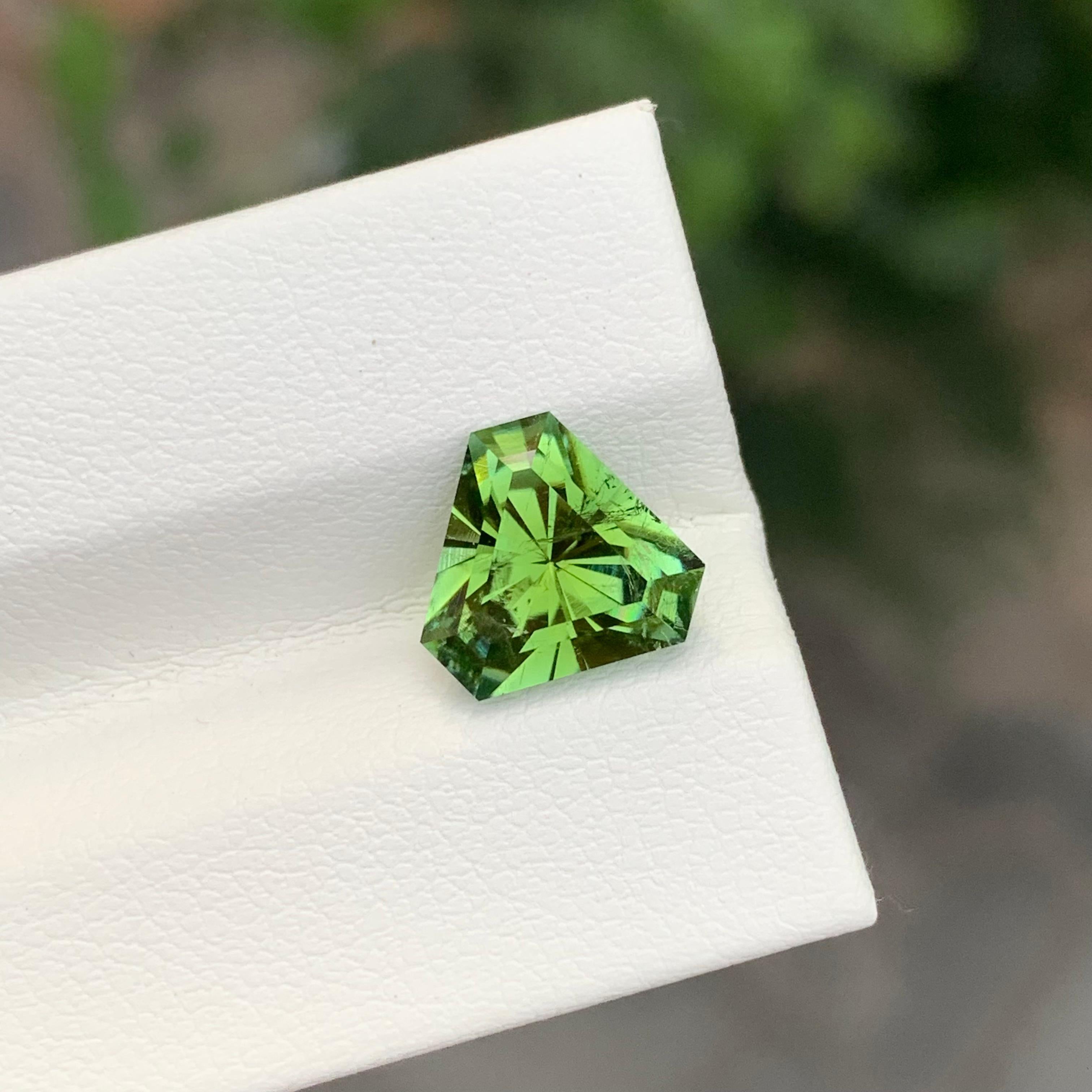 Tourmaline verte Kelly facettée

Poids : 2,90 carats
Dimension : 9,9 x 9,9 x 6,1 mm
Coloris : vert kelly
Traitement : Non
Certificat : Sur demande du client
Forme : Trillion 


La tourmaline est une pierre précieuse captivante connue pour sa