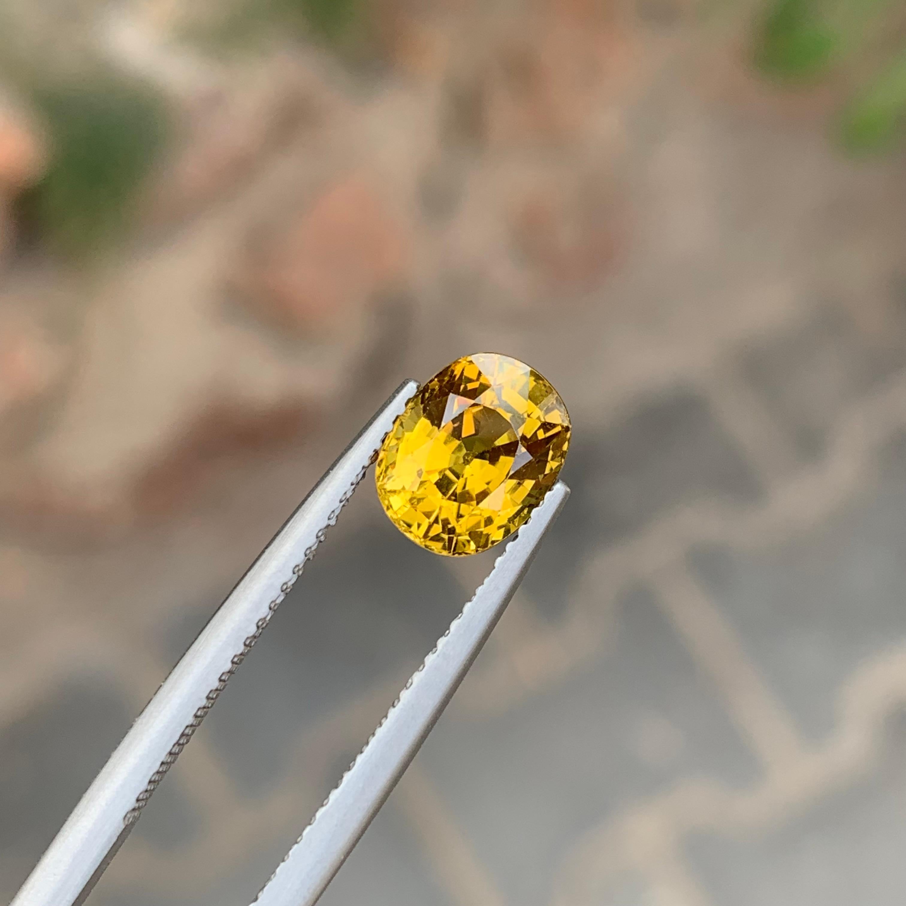 2.90 Carat Natural Loose Mali Garnet Oval Shape Gemstone im Zustand „Neu“ im Angebot in Peshawar, PK