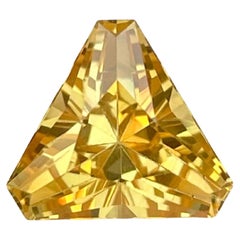 2,90 Carati di Citrino Arancione Taglio Trillion Gemma Brasiliana Naturale
