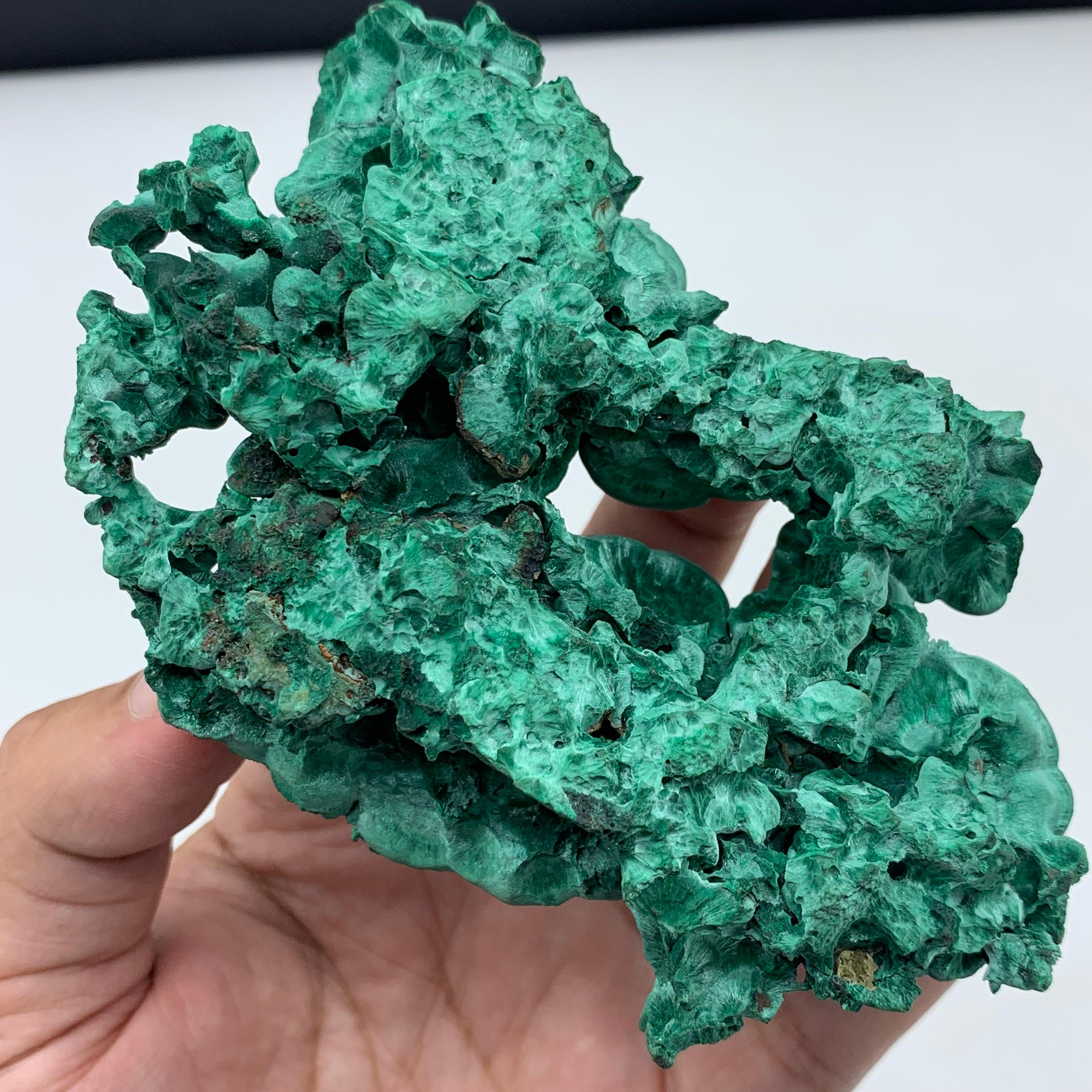 291 Gram Incredible Alien Eye Malachite Cluster Specimen From Guangdong, China  For Sale 8