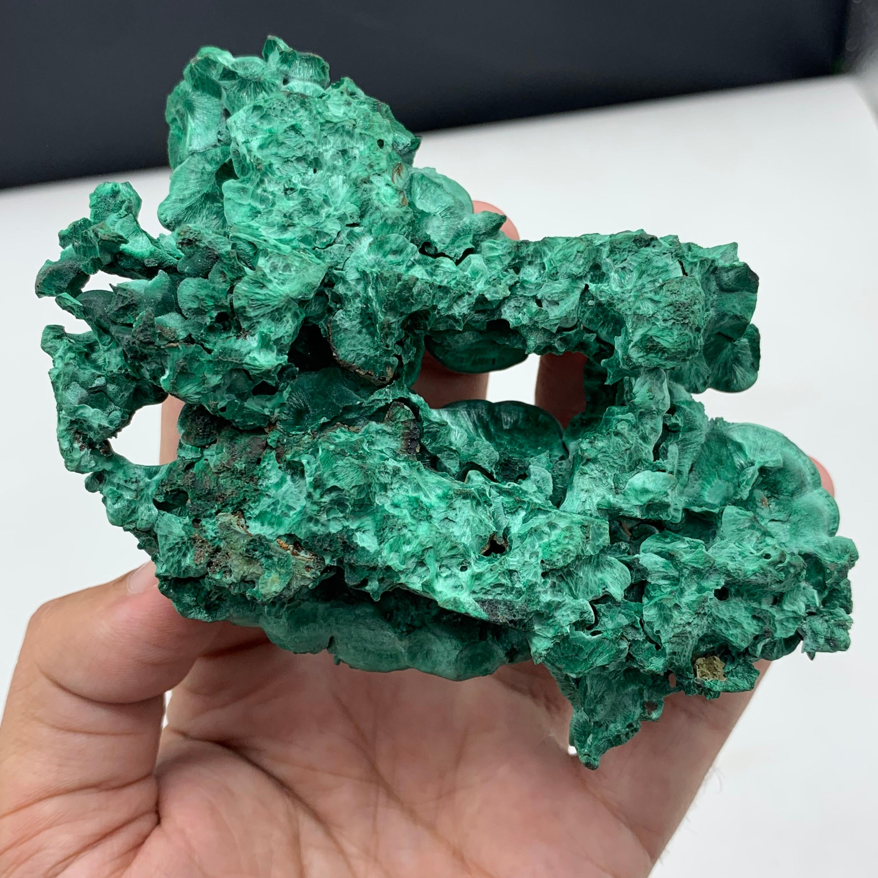 291 Gram Incredible Alien Eye Malachite Cluster Specimen From Guangdong, China  In Good Condition For Sale In Peshawar, PK