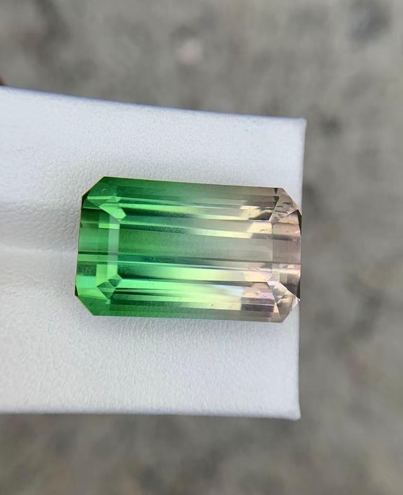 Melon bicolore certifié GRS d'Afghanistan, 29,26 carats en vente 5