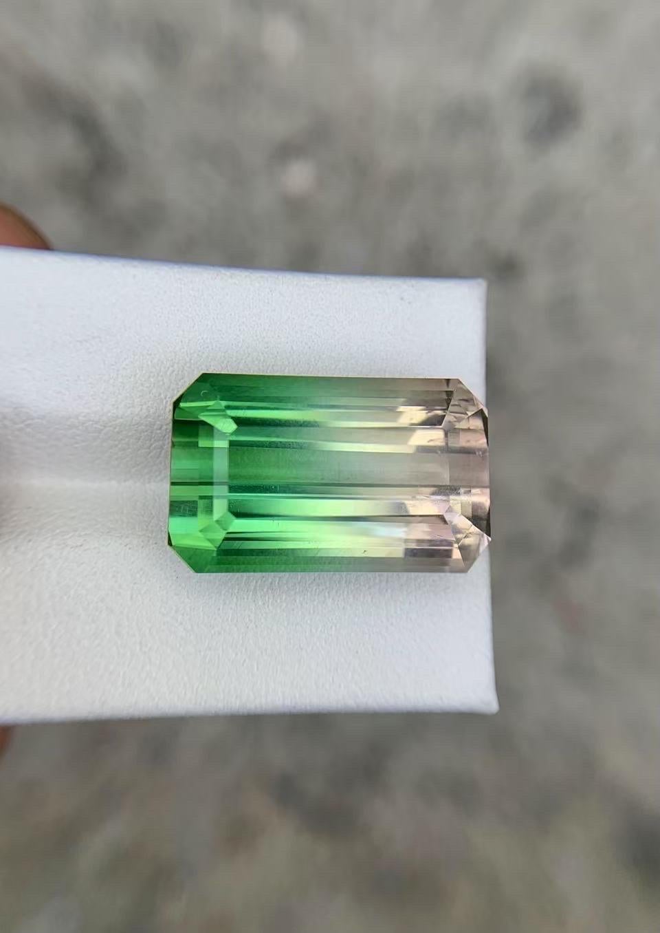 da uomo o donna 29,26 carati di tormalina dell'Afghanistan certificata GRS Bi Color Melon in vendita