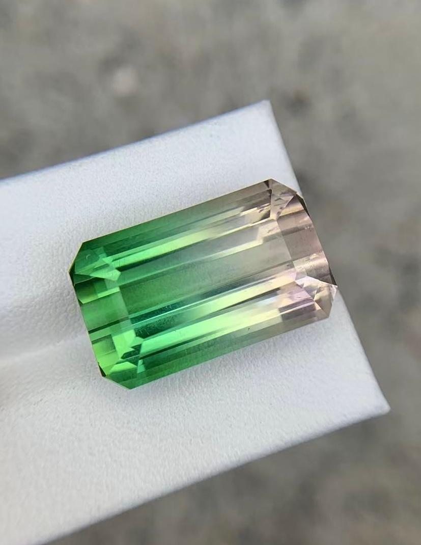 Melon bicolore certifié GRS d'Afghanistan, 29,26 carats en vente 3