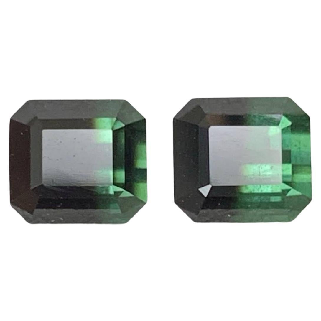 2.95 Carat Natural Loose Bicolor Tourmaline Pair Emerald Cut Pakistan Gemstone