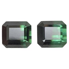 2.95 Carat Natural Loose Bicolor Tourmaline Pair Emerald Cut Pakistan Gemstone