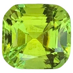 2.95 Carat Natural Loose Green Tourmaline Cushion Shape Gem