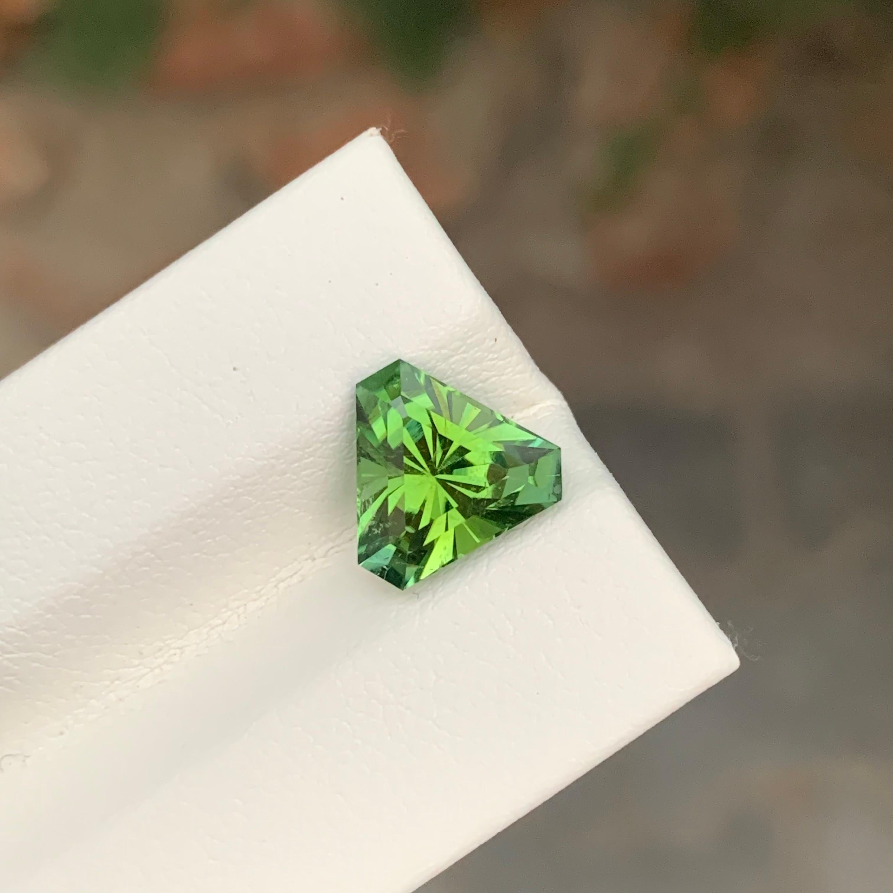 Tormalina verde sfaccettata

Peso: 2,95 Carati
Dimensioni: 9 x 9 x 6,5 mm
Colore: Verde 
Trattamento: Non
Certificato: Su richiesta del cliente
Forma: Trilione 


La tormalina è una gemma affascinante nota per la sua notevole varietà di colori, che