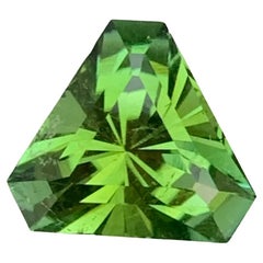 2.95 Carat Natural Loose Green Tourmaline Trillion Cut Gem