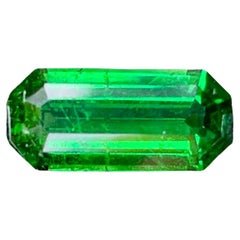 2.96 Karat Grüner Tsavorit Granat Smaragdschliff Natürlicher Edelstein aus Kenia