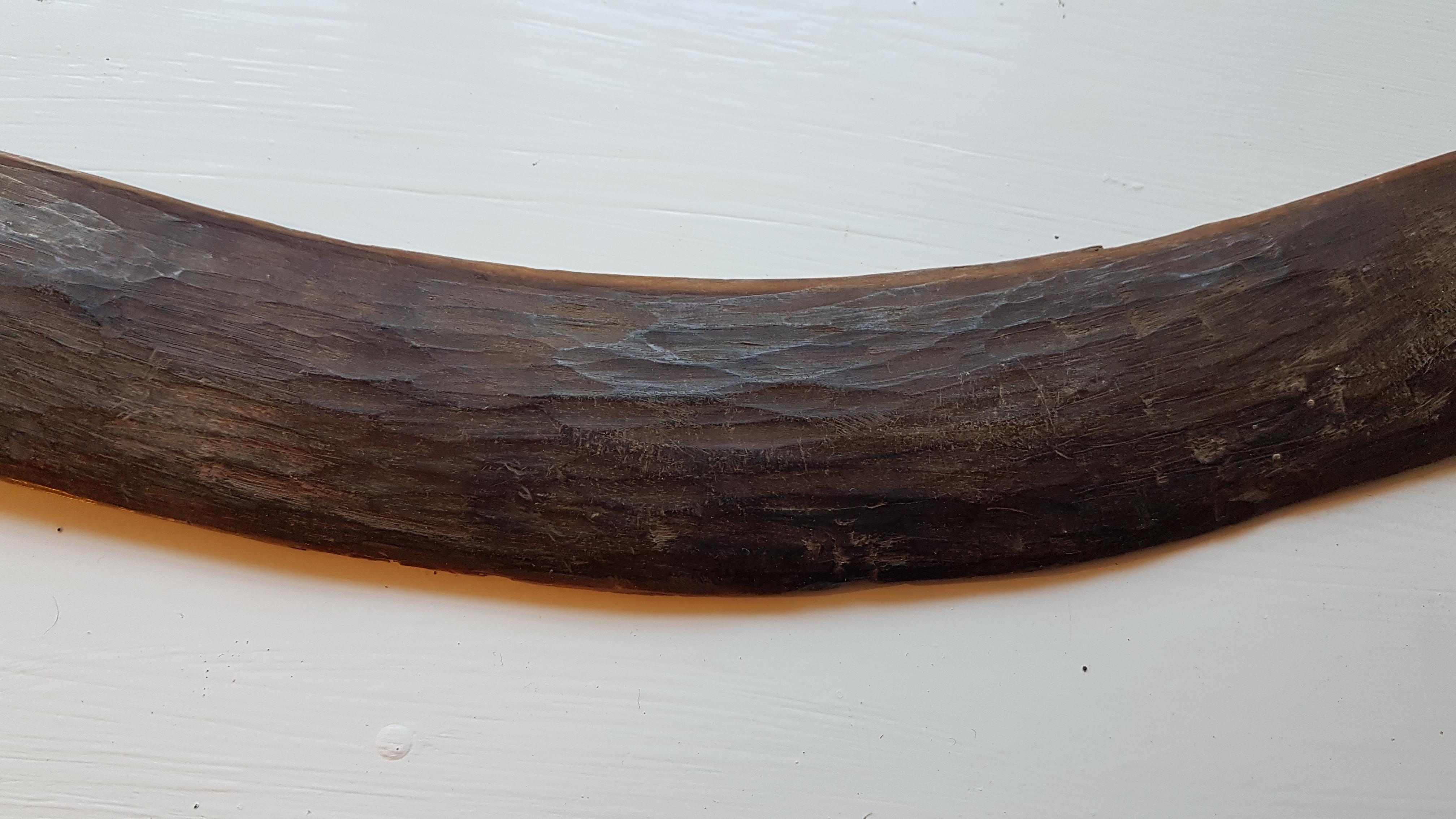 3 19th Century West Australian Boomerangs For Sale 5