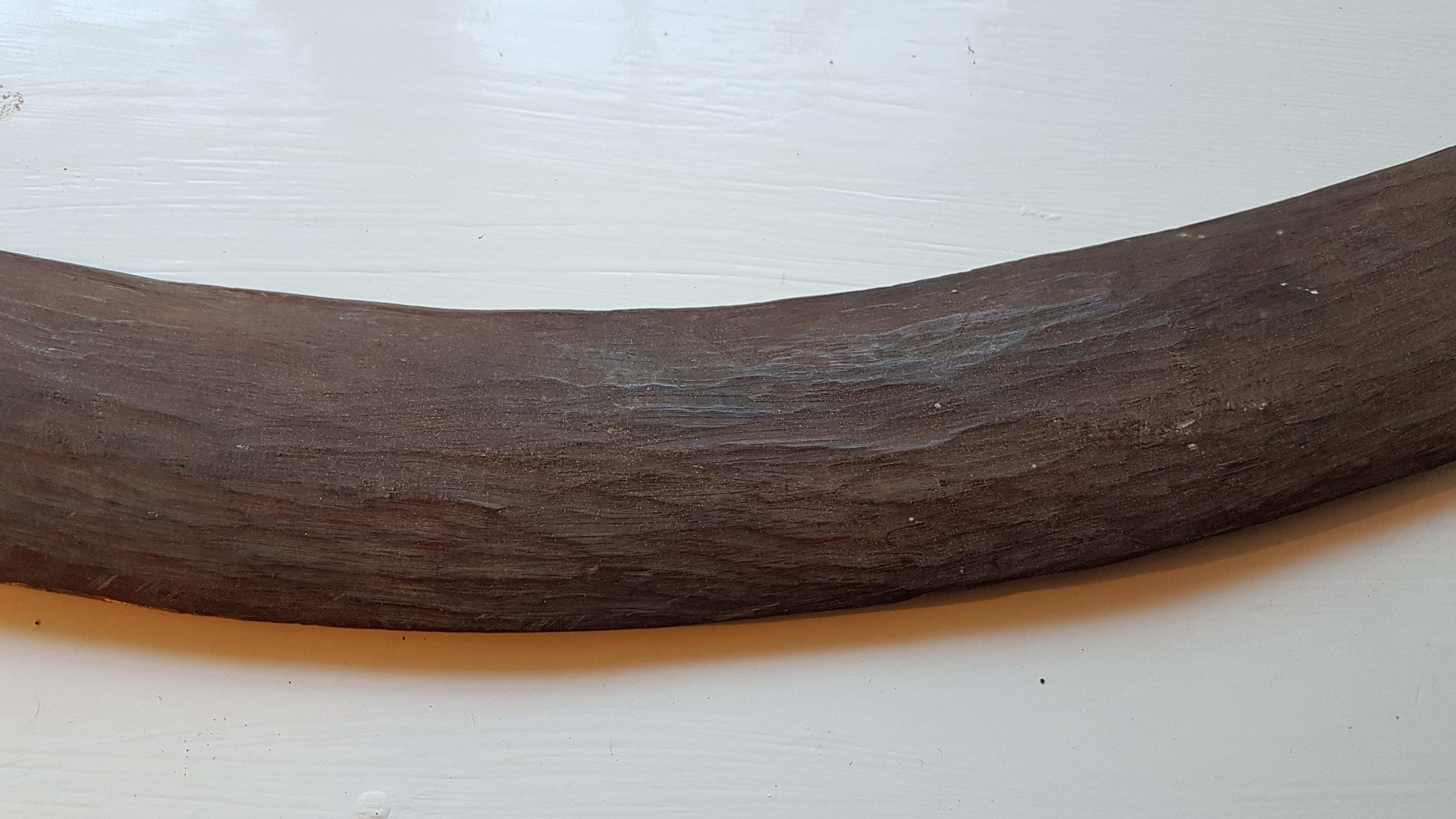 3 19th Century West Australian Boomerangs For Sale 11