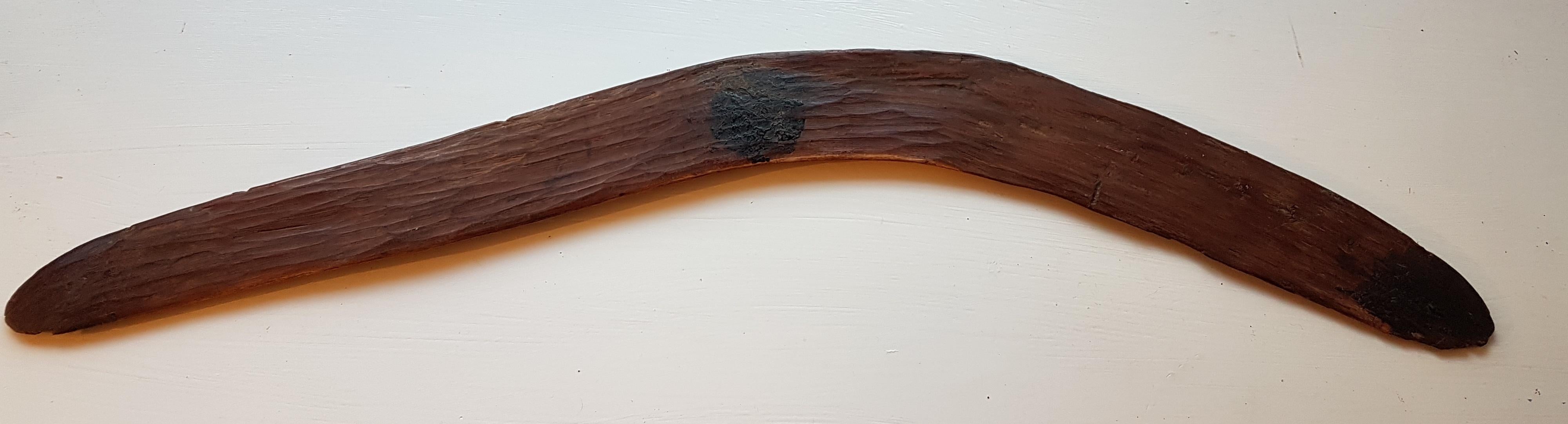 mulga wood boomerang