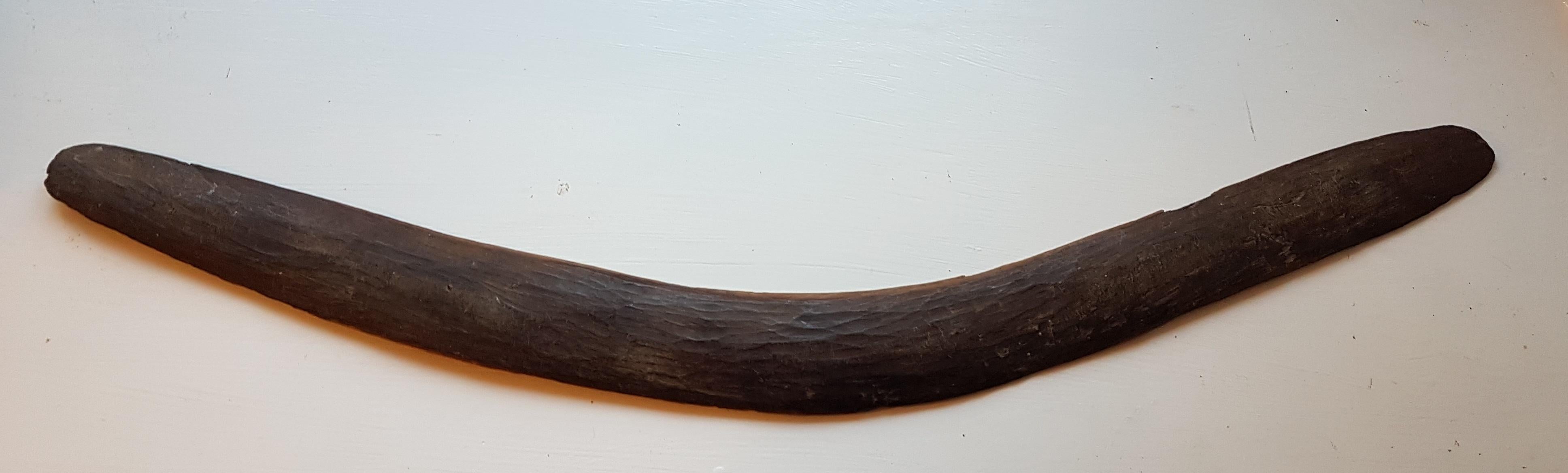 boomerangs for sale