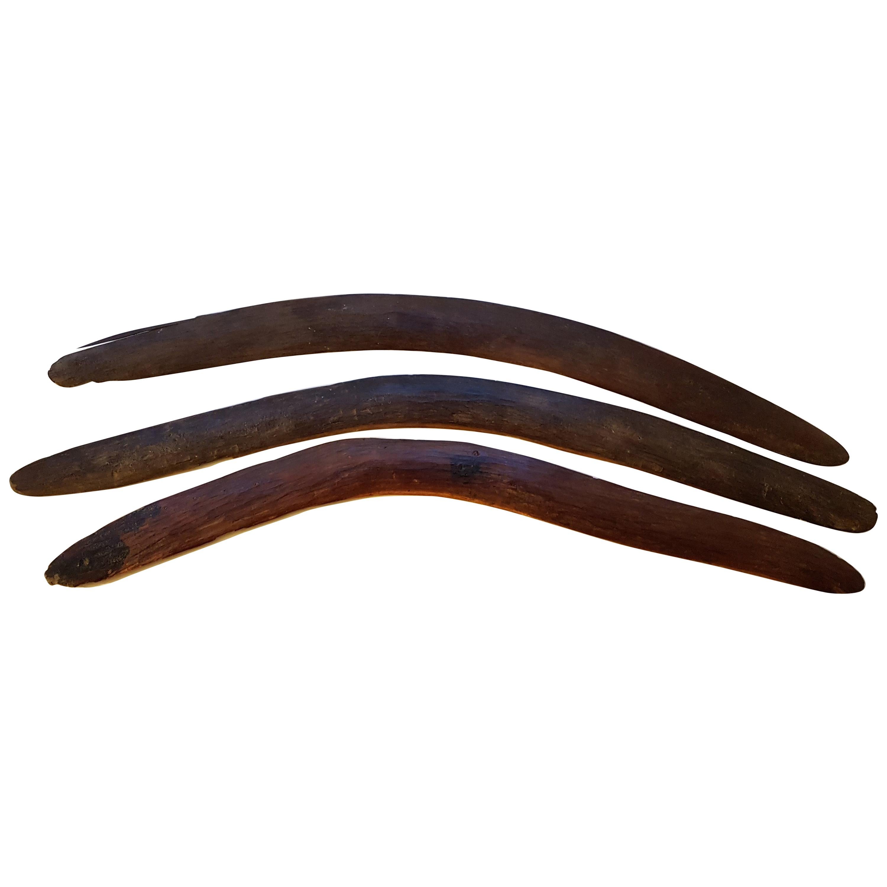 3 19th Century West Australian Boomerangs For Sale