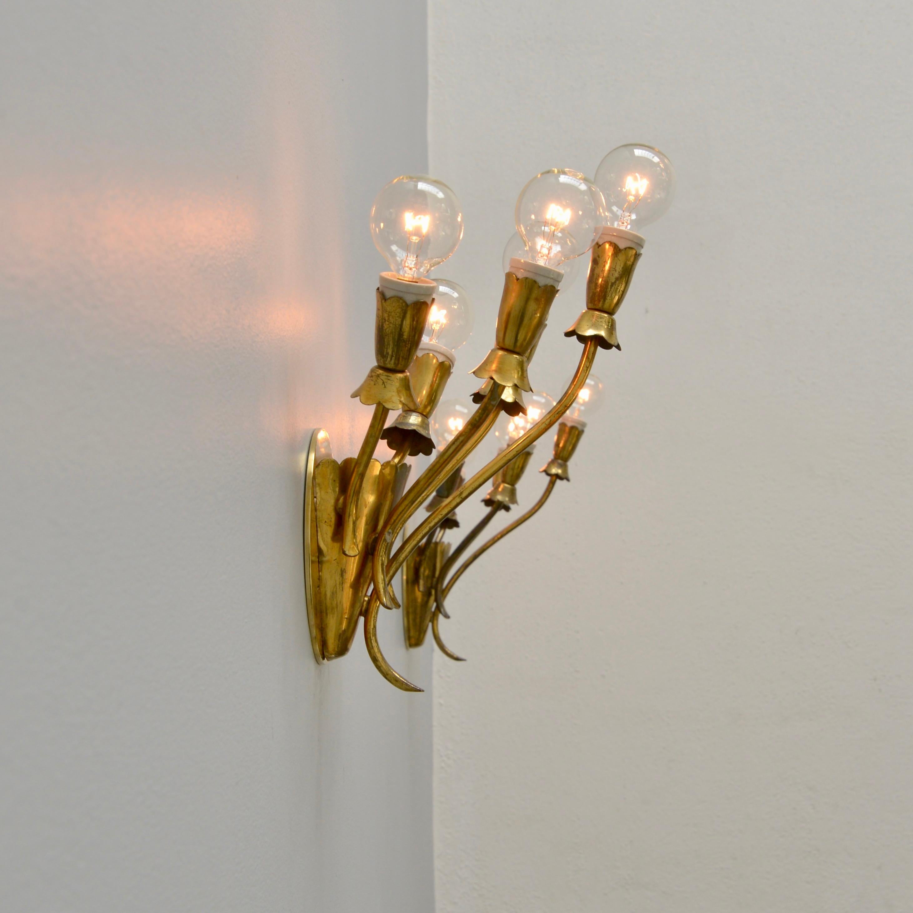 Single 5 Arm Botanical Sconce 6