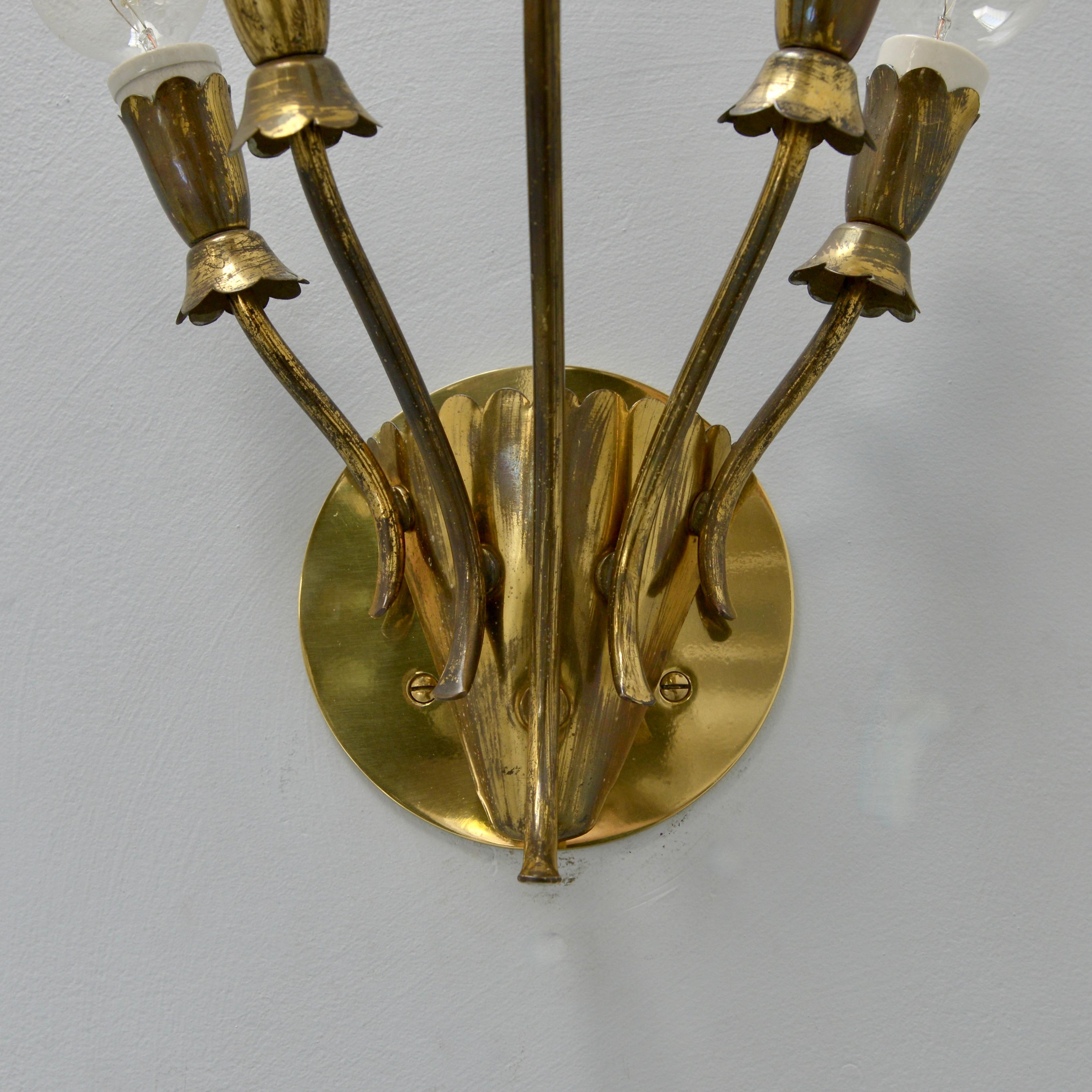 Brass Single 5 Arm Botanical Sconce
