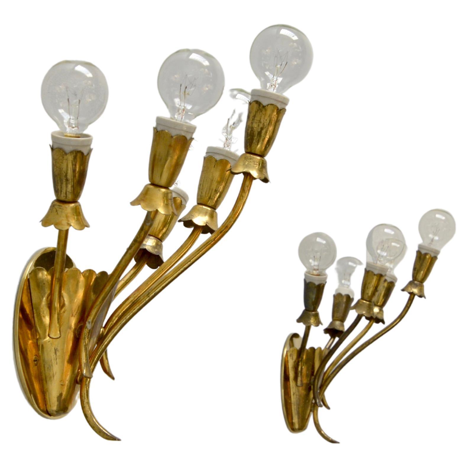 Single 5-Arm Botanical Sconce from 1940s Italy. This fully brass vintage sconce has a unique naturally aged brass finish. 5 E12 candelabra based sockets per sconce. Wired for use in the USA. It can also be wired for use anywhere in the world.