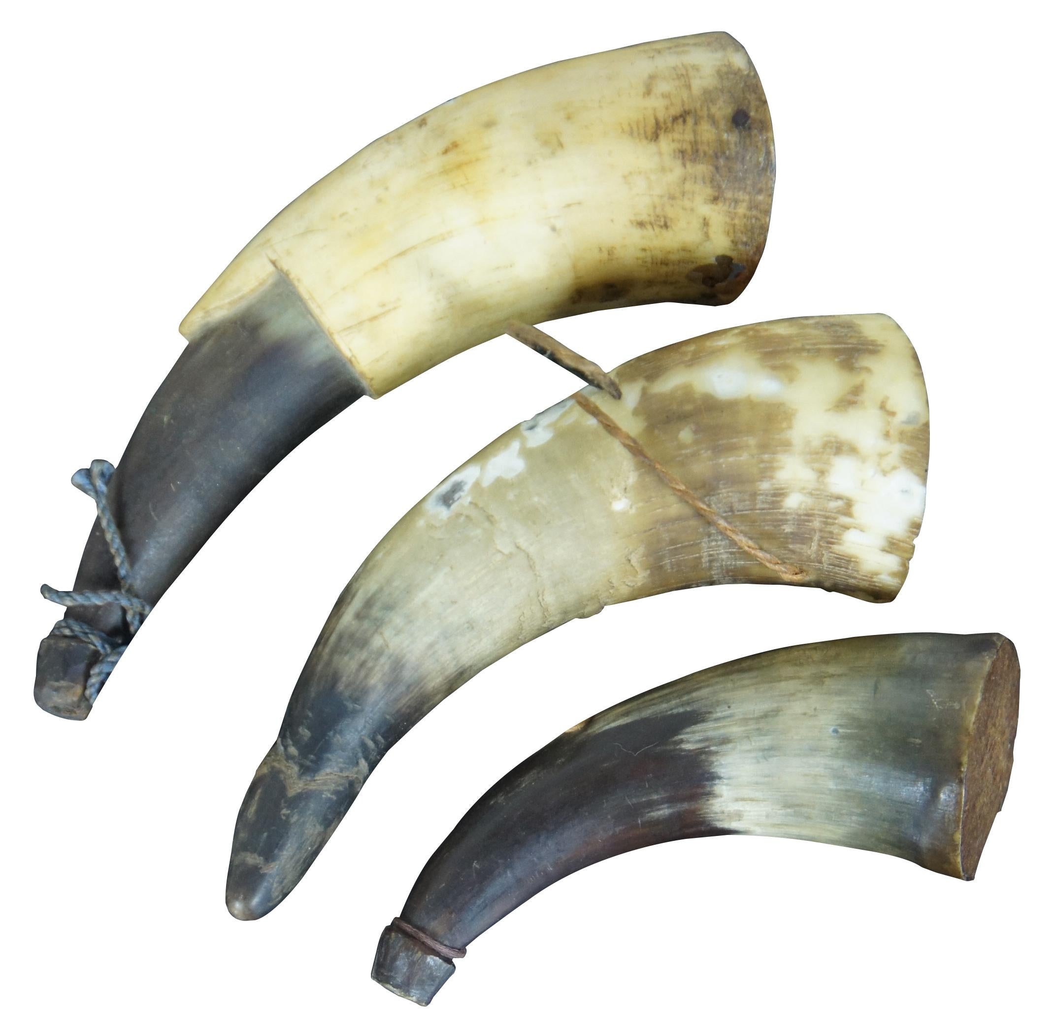 Lot of three small antique horns for black powder, with carrying strings.

Largest - 6.5” x 2.5” x 1.75” / Smallest - 4.75” x 1.75” x 1.5” (Width x Depth x Height)