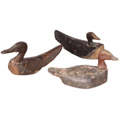 3 Antique Duck Decoy