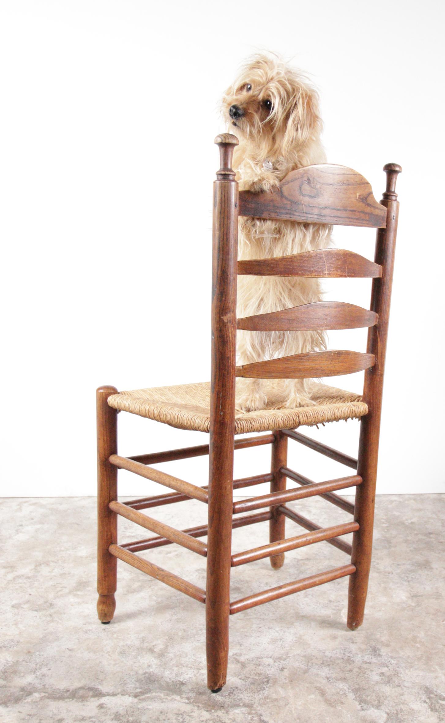 3 chaises de salle à manger hollandaises anciennes à dossier en échelle en Oak Oak Rush Seat en vente 10