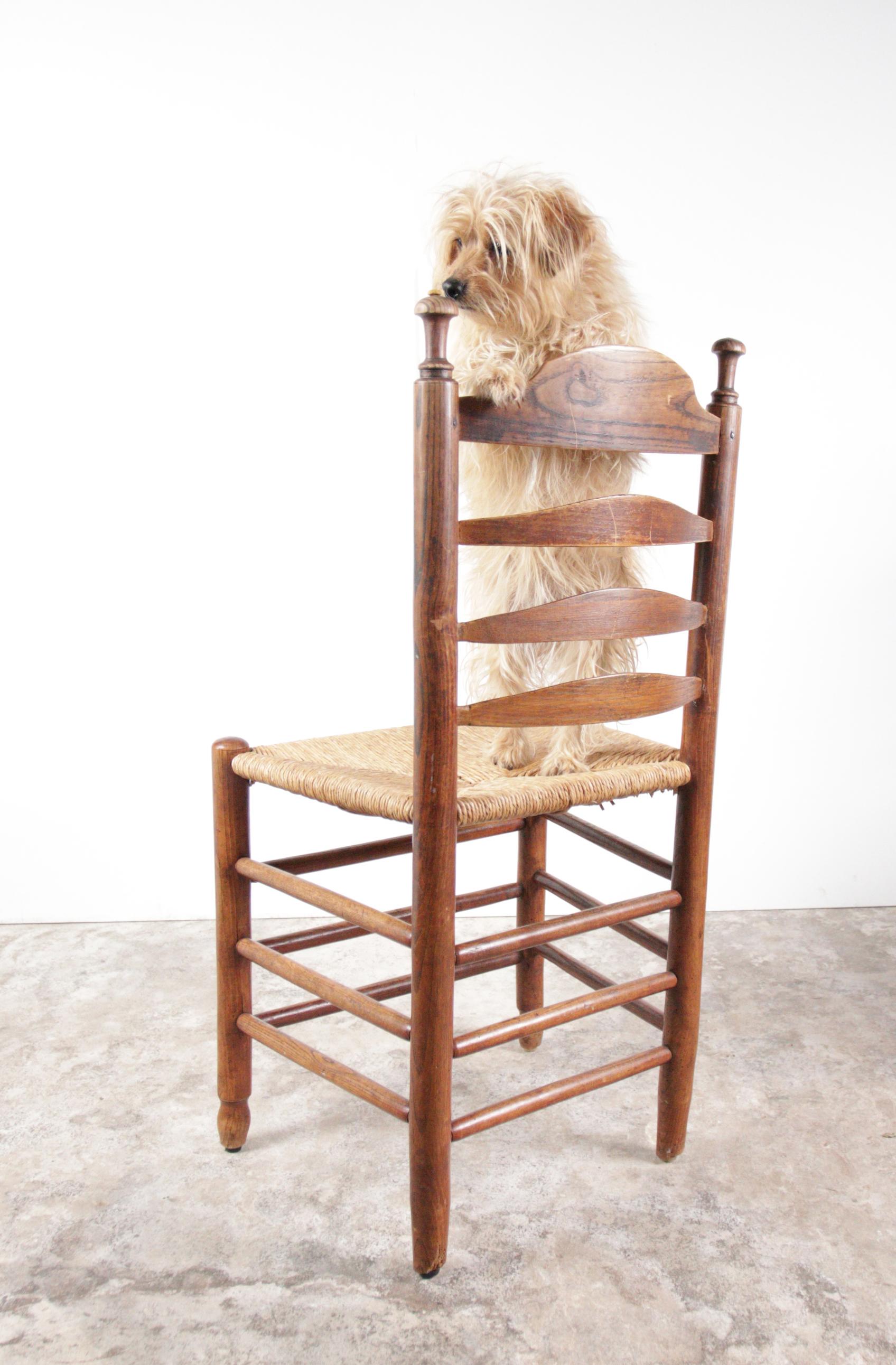 3 chaises de salle à manger hollandaises anciennes à dossier en échelle en Oak Oak Rush Seat en vente 11